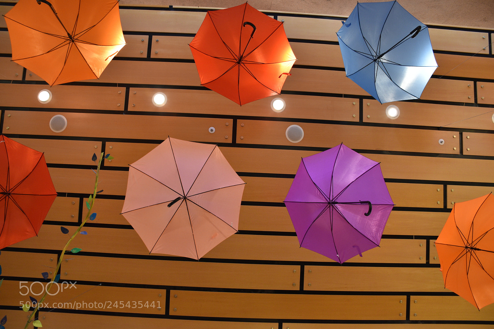 Nikon D5600 sample photo. Rubi1999 photography