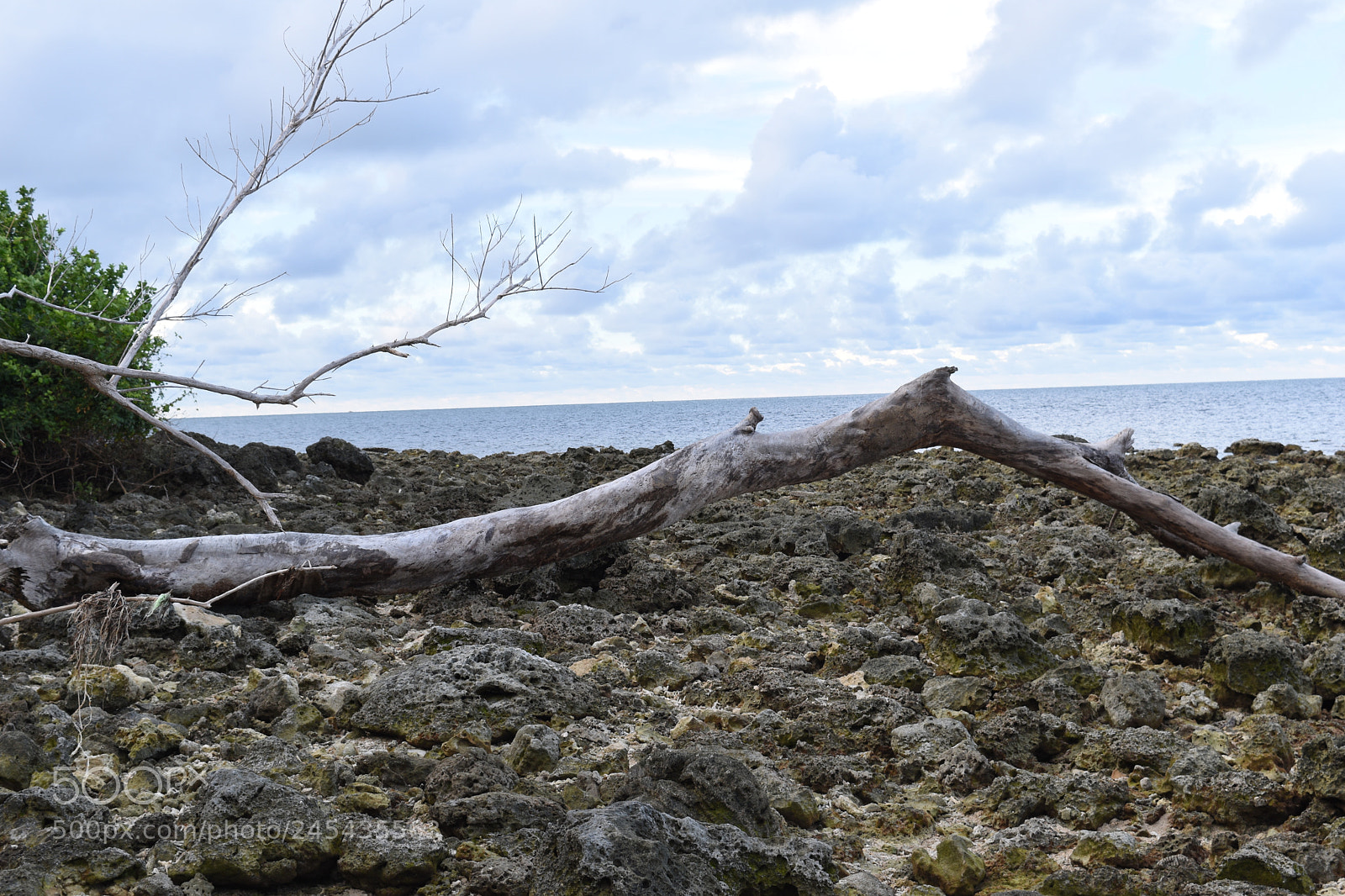 Nikon D5500 sample photo. Remnants photography