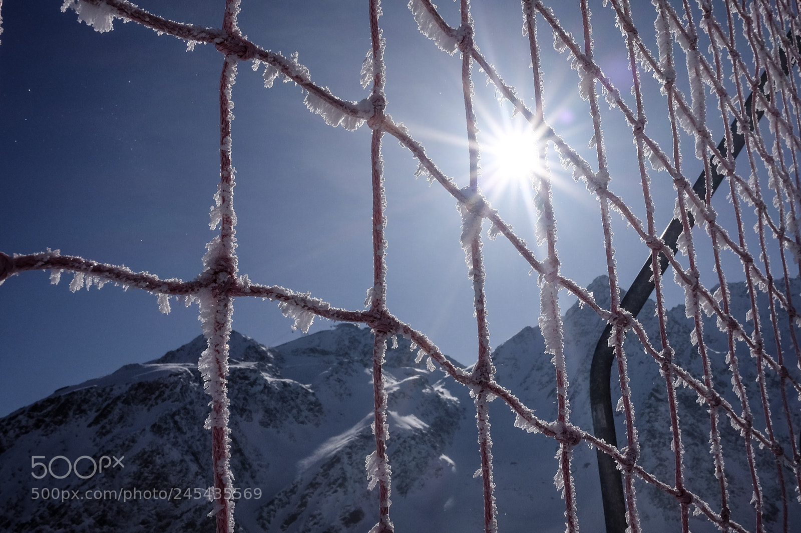 Fujifilm X70 sample photo. Frosty photography