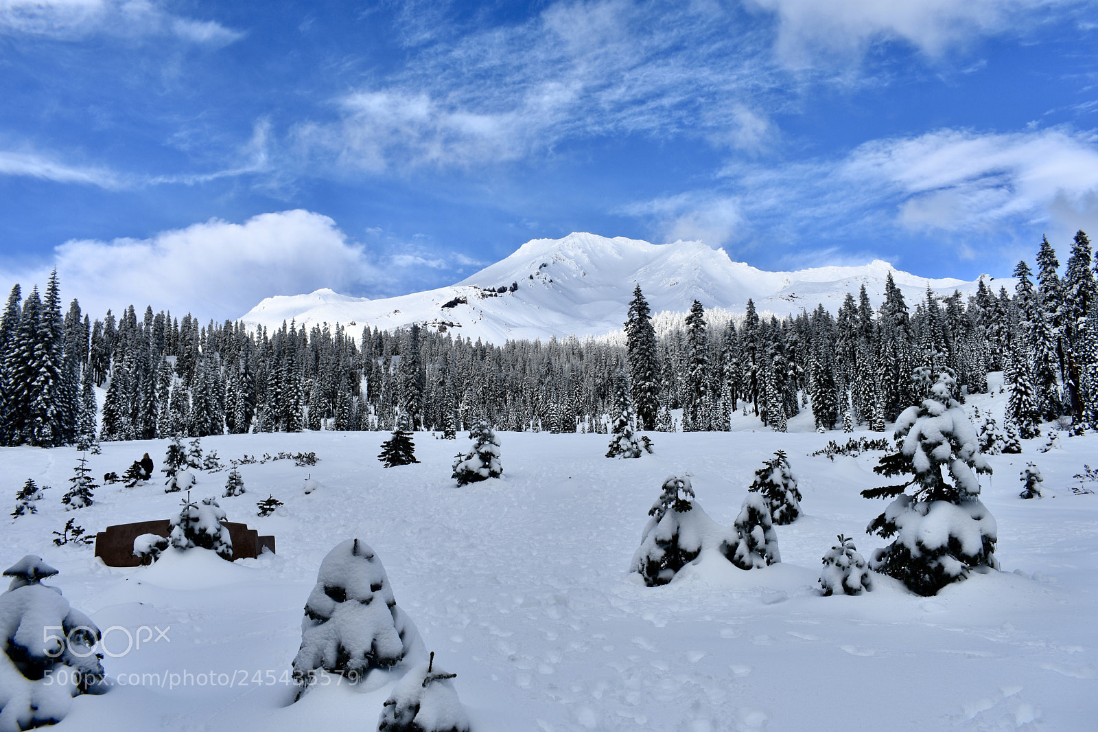 Nikon D3400 sample photo. Mount shasta photography
