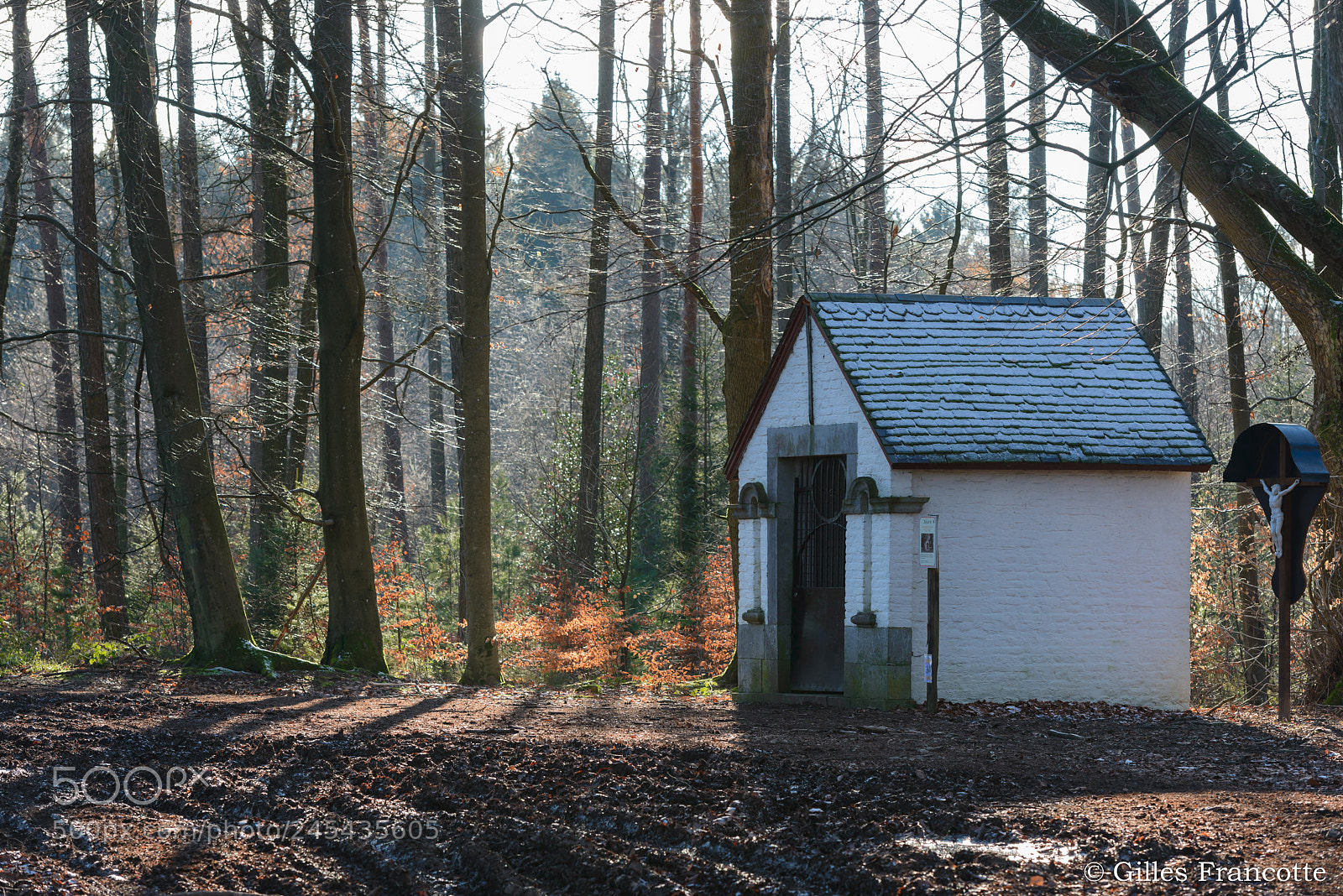 Nikon D800 sample photo. Chapel in the woods photography