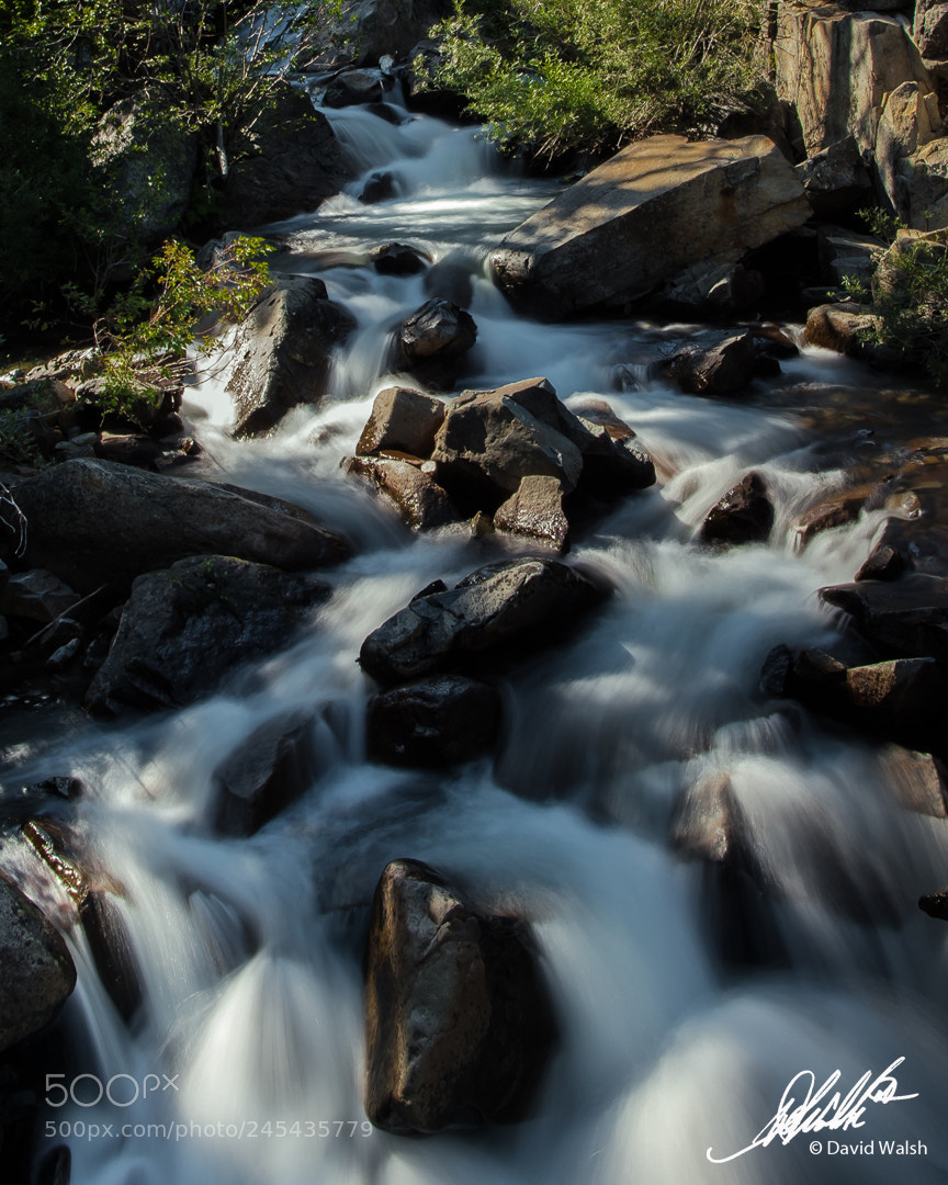 Nikon D4S sample photo. Lake tahoe, california-lower eagle photography
