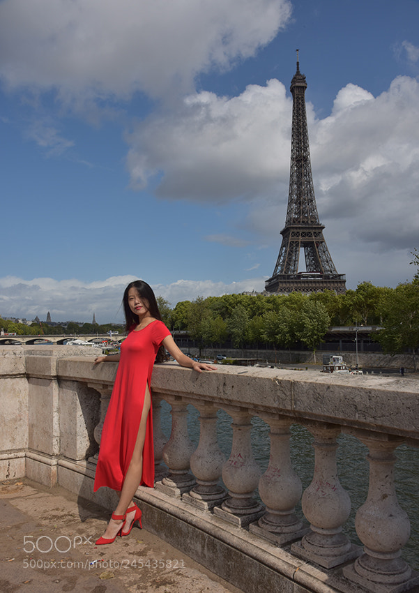 Nikon D810 sample photo. Paris#bir-hakeim#ziyi photography