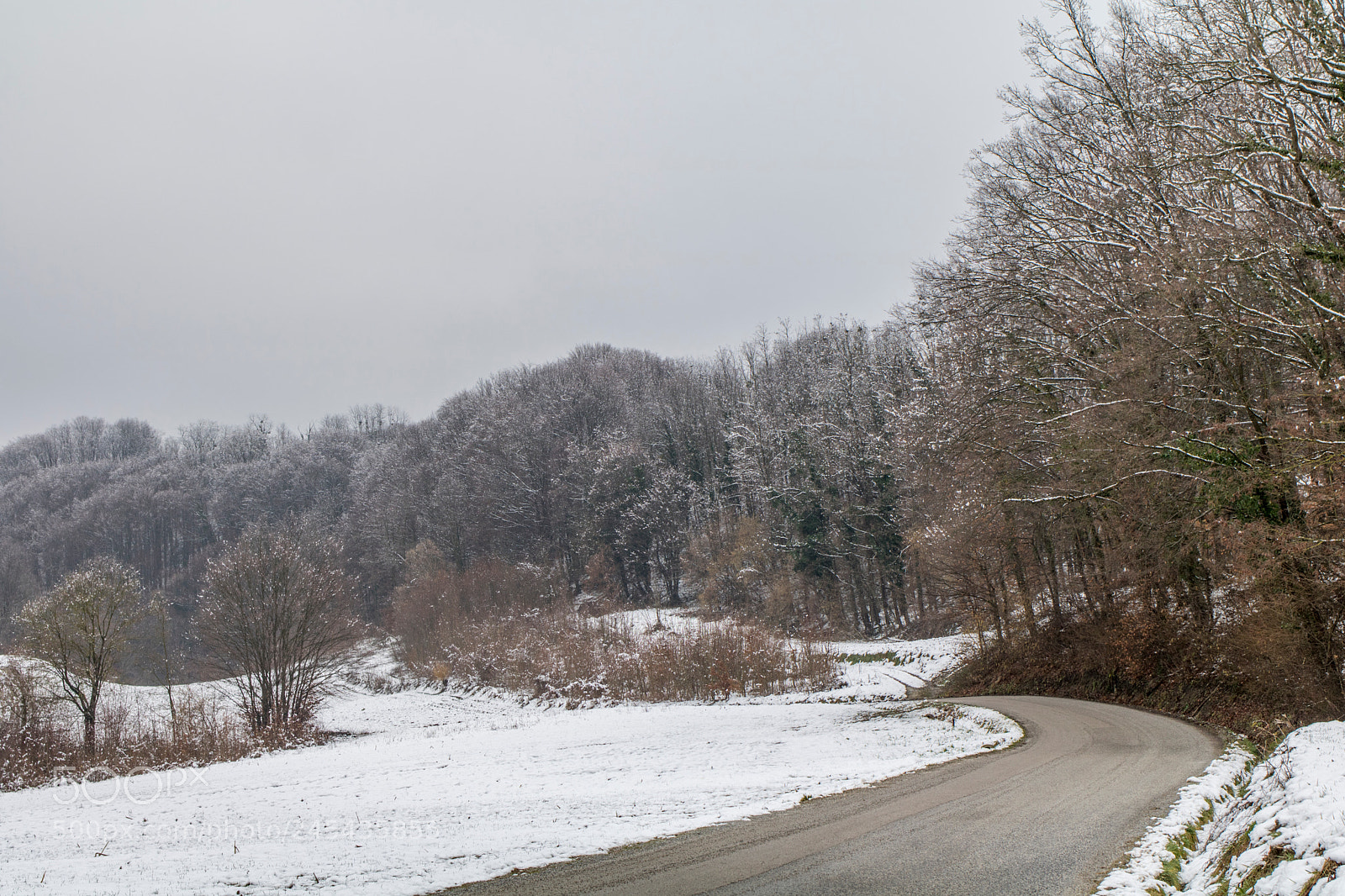 Canon EOS 760D (EOS Rebel T6s / EOS 8000D) sample photo. Img photography