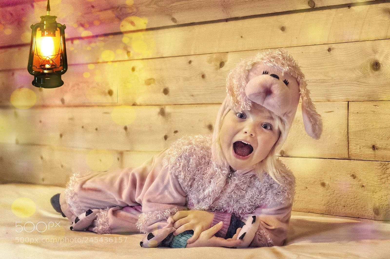 Nikon D700 sample photo. Lanterna magica photography