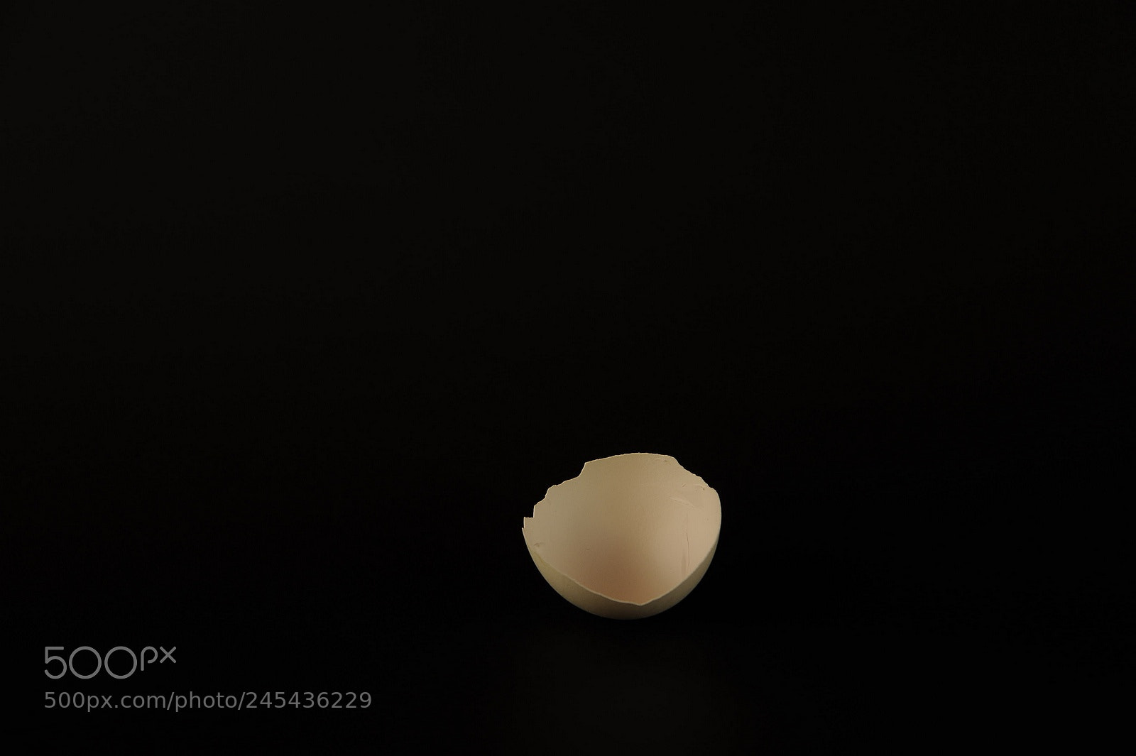 Nikon D700 sample photo. Object 1 photography