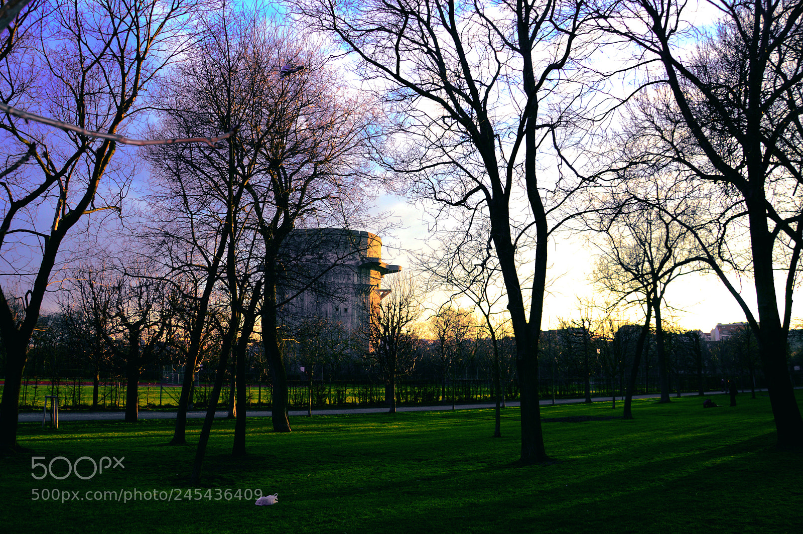 Nikon D3200 sample photo. Augarten, park, wien photography