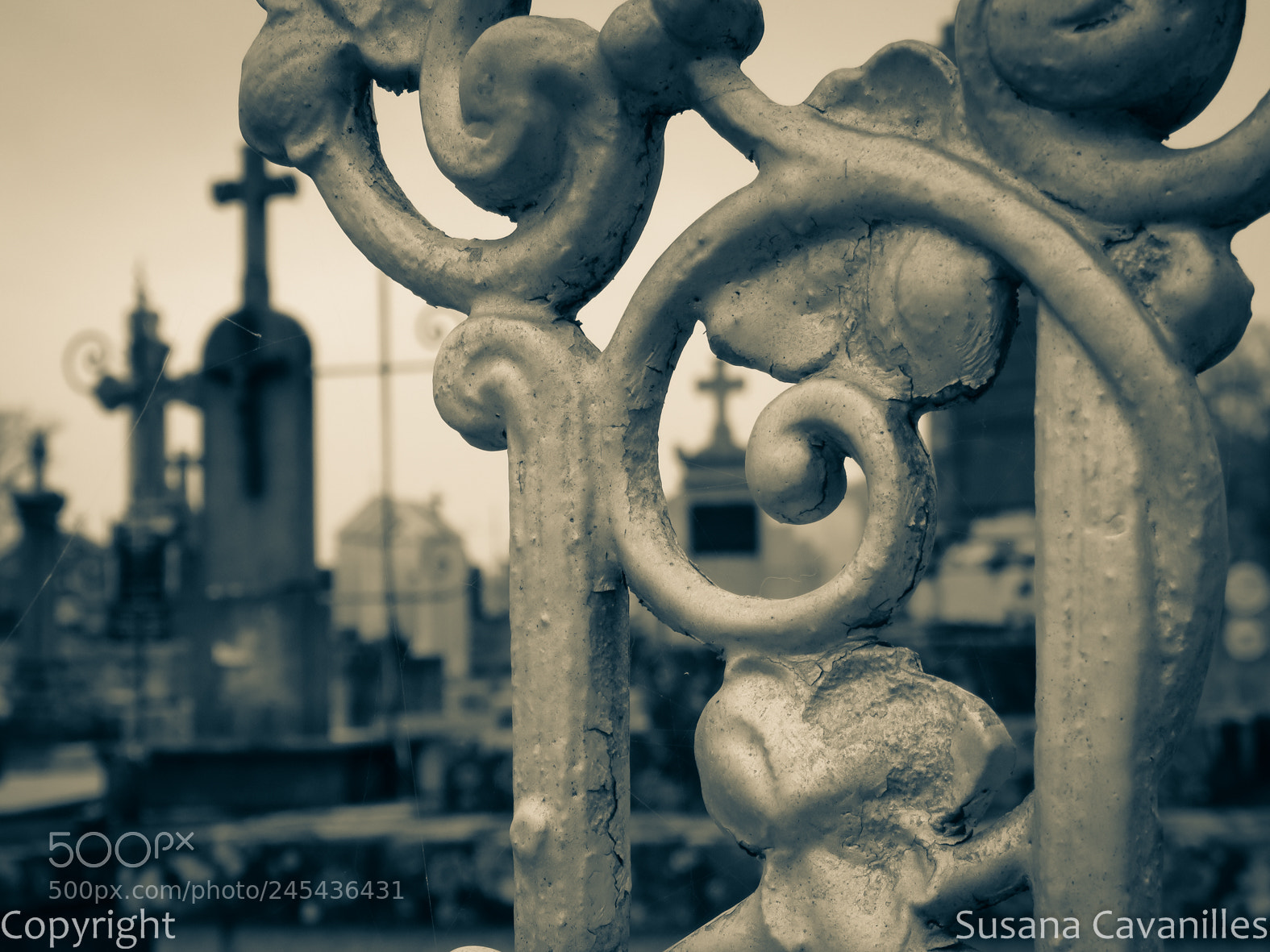 Canon PowerShot SX60 HS sample photo. Dolor y memoria photography