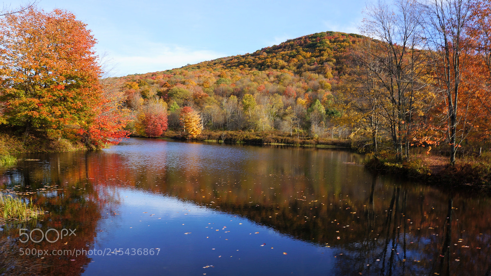 Sony Alpha NEX-5N sample photo. Fall lake photography