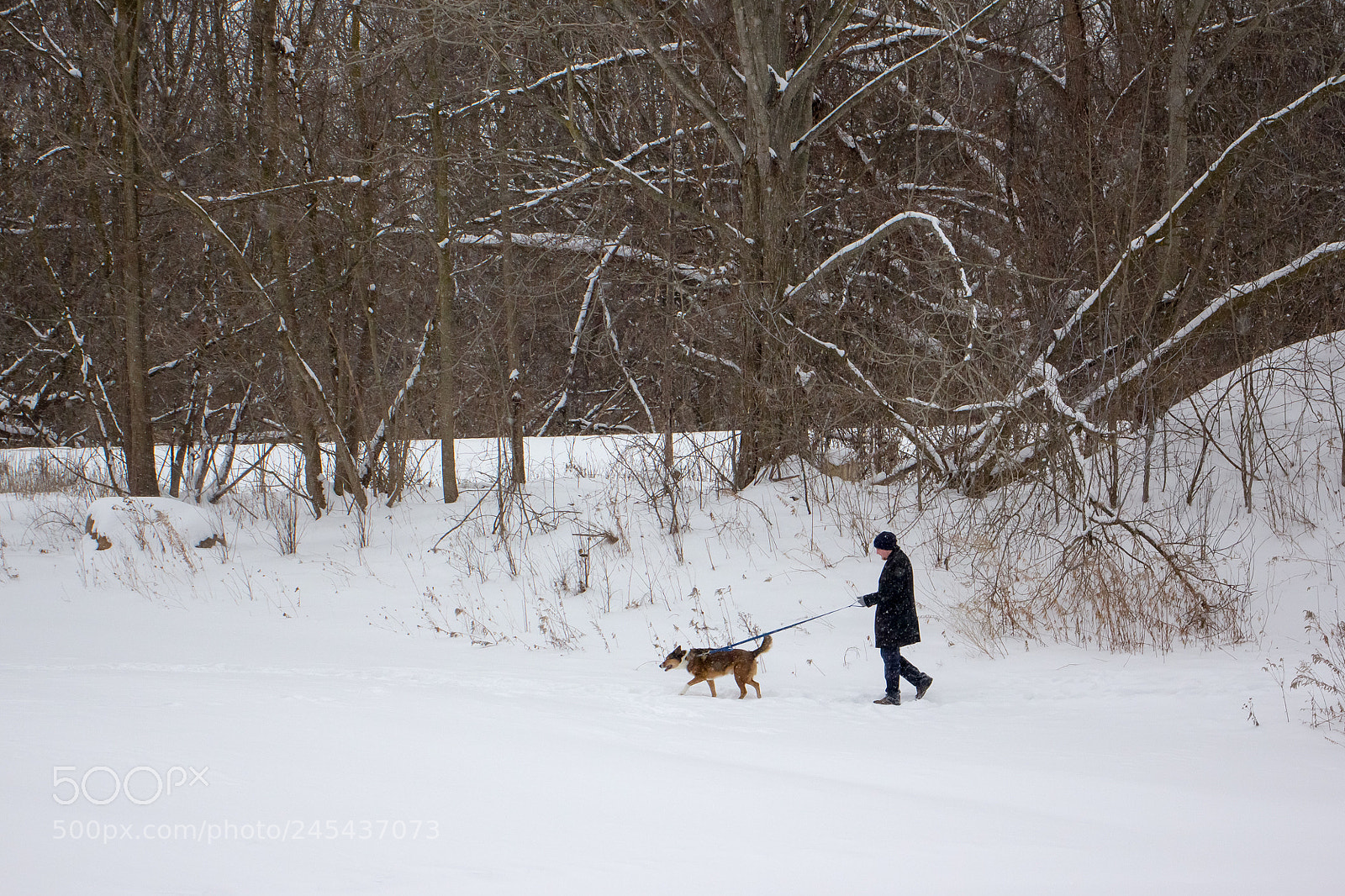 Canon EOS 60D sample photo. A man, his dog photography