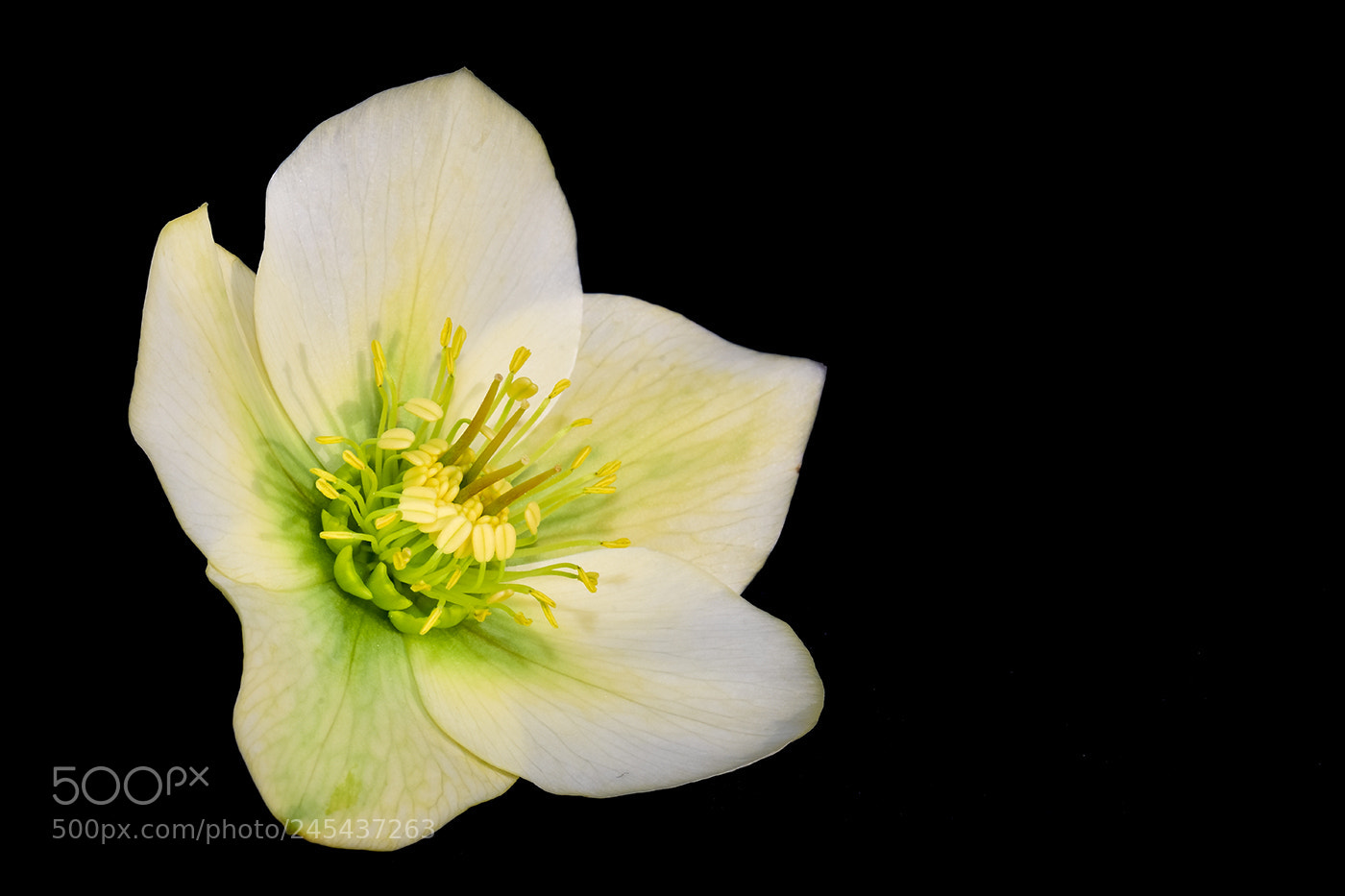 Nikon D7200 sample photo. 09.02.2018 - 6 photography
