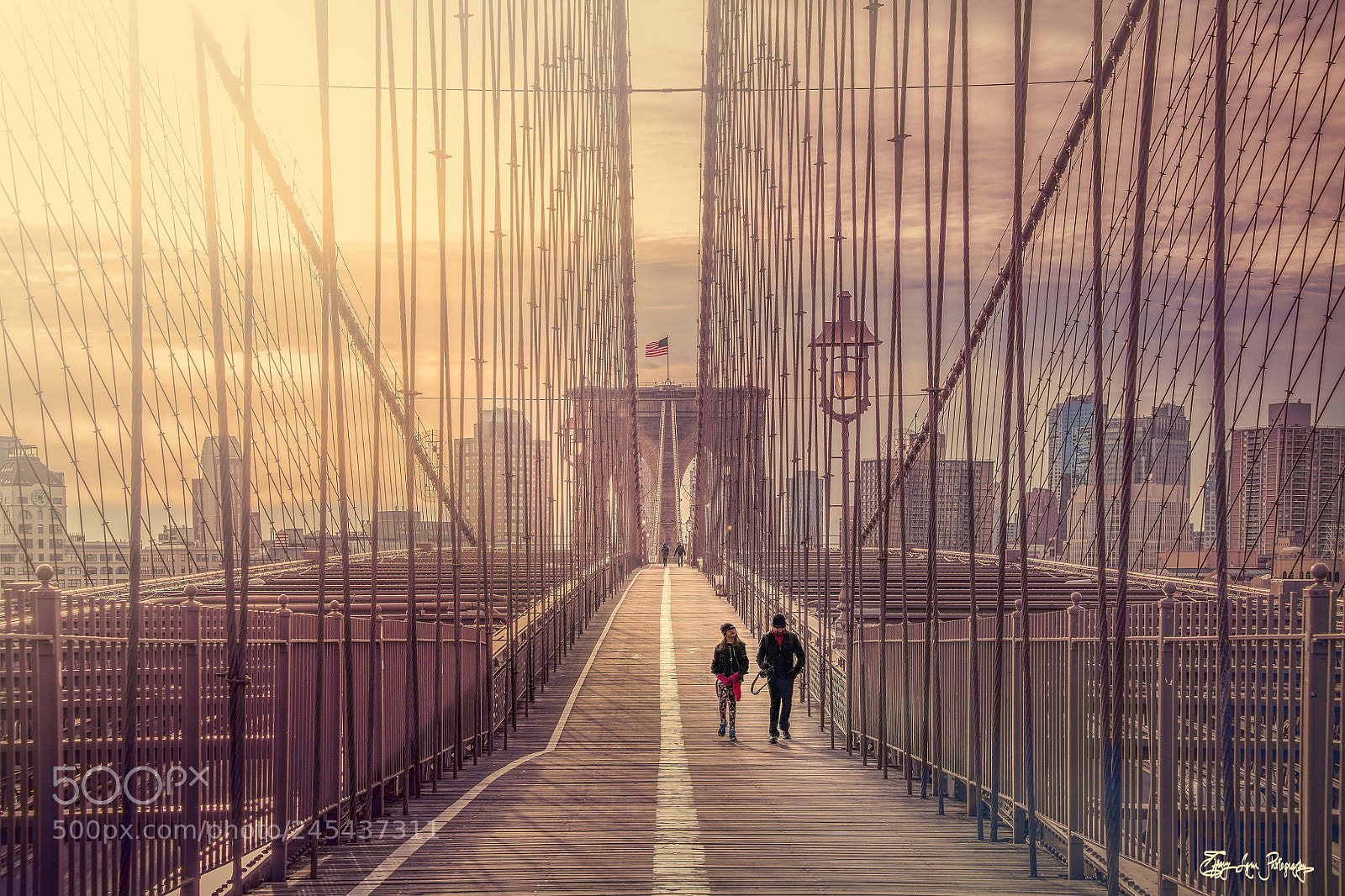 Nikon D850 sample photo. The morning stroll photography