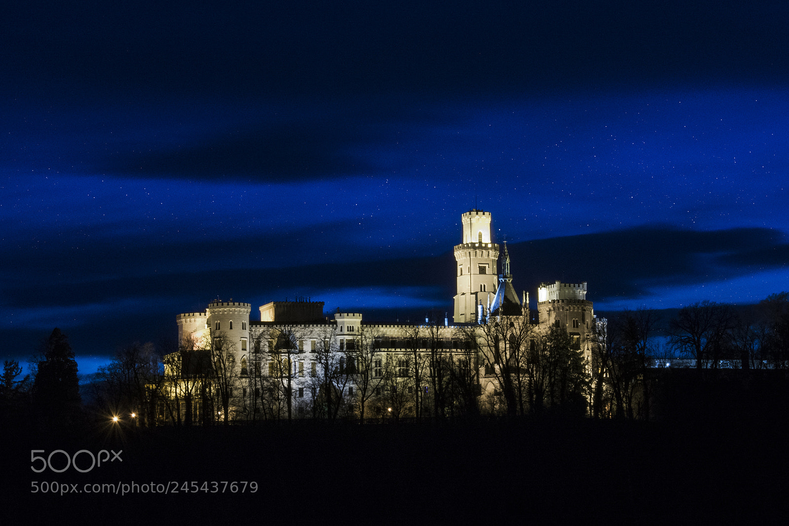 Nikon D5200 sample photo. Castle under stars photography