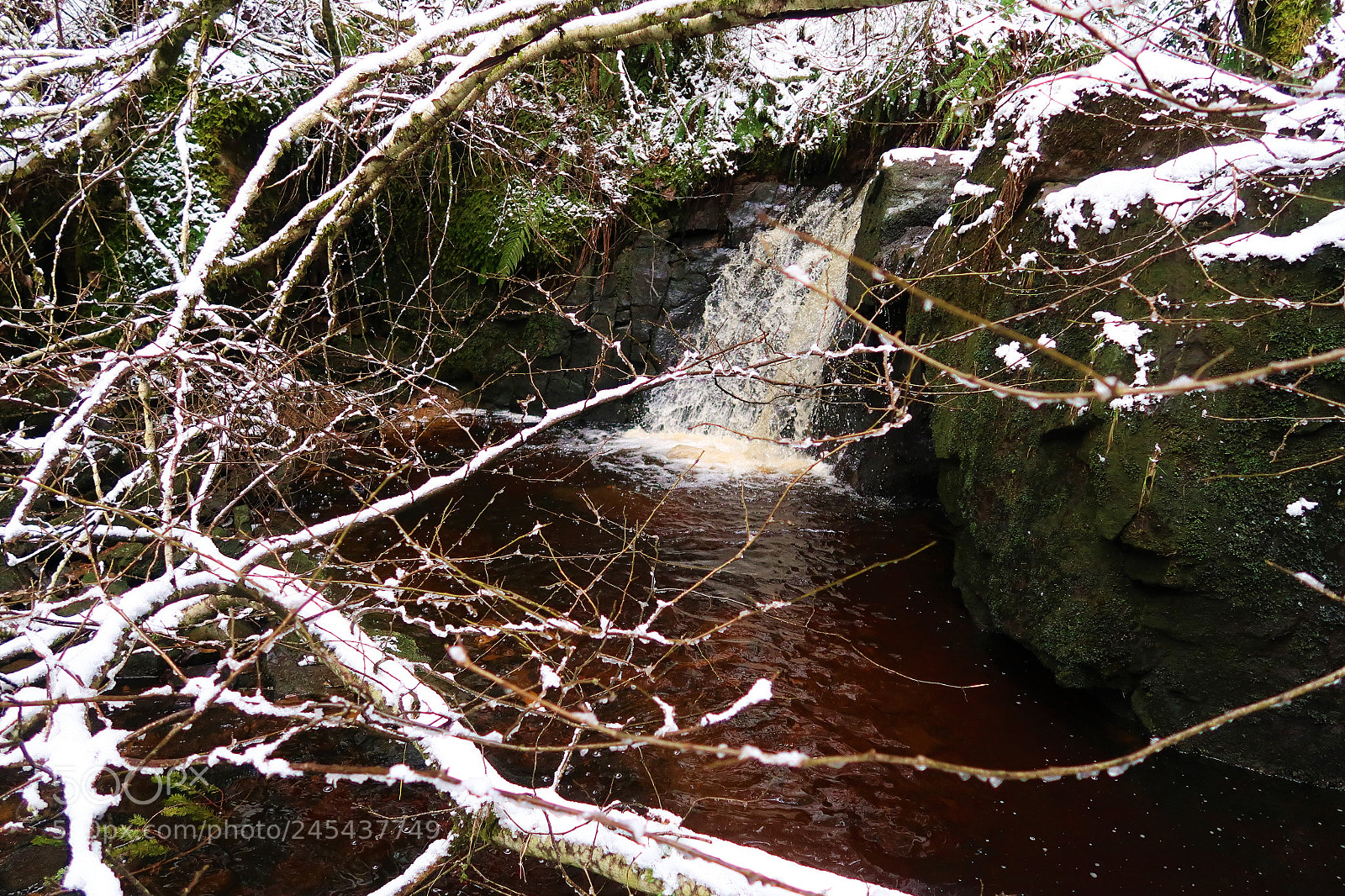 Canon PowerShot G7 X Mark II sample photo. Falstone waters photography