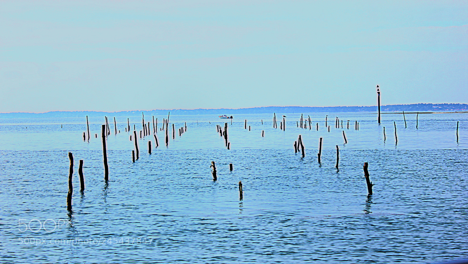 Canon EOS 550D (EOS Rebel T2i / EOS Kiss X4) sample photo. Oysterland photography