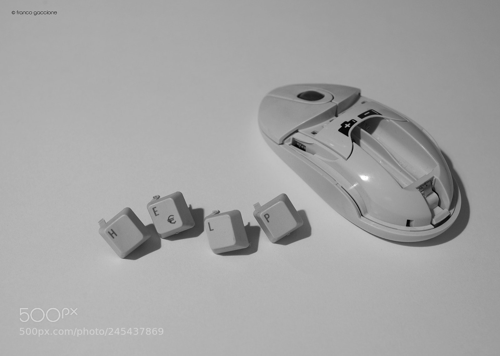 Nikon D610 sample photo. Bis photography