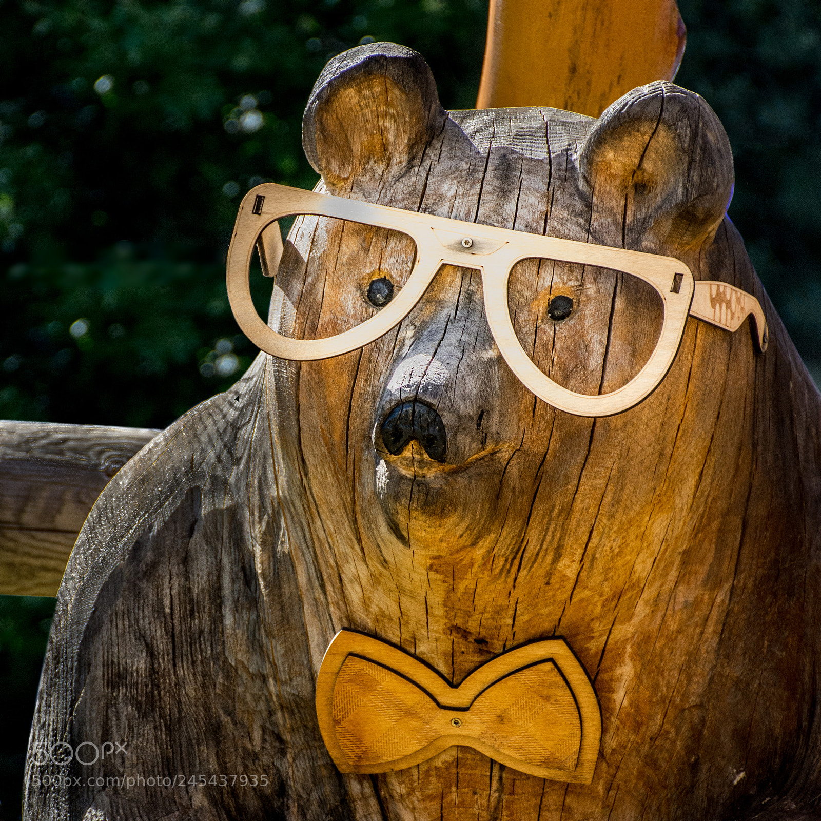 Nikon D7200 sample photo. Wooden bear with glasses photography