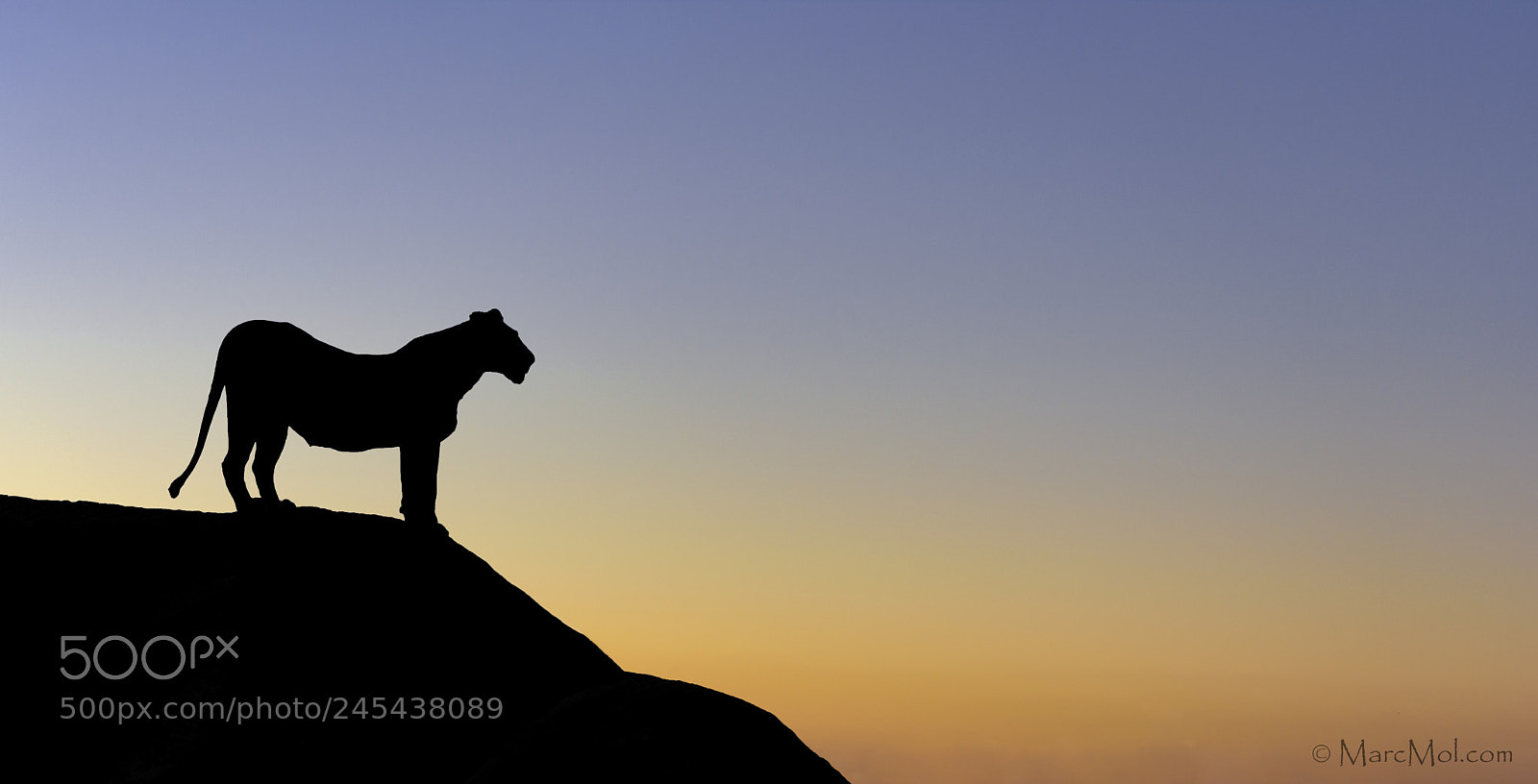 Nikon D850 sample photo. The dawn of a photography