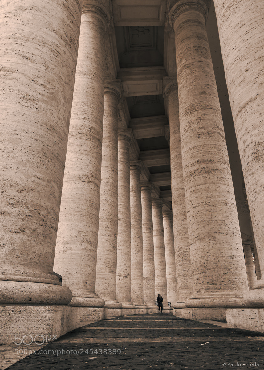 Sony a5100 sample photo. Harmonic columns photography