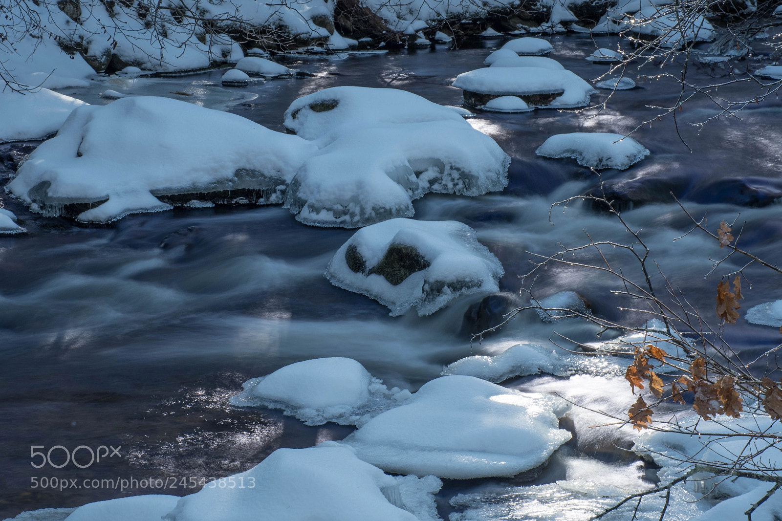 Nikon D7500 sample photo. Willard brook photography