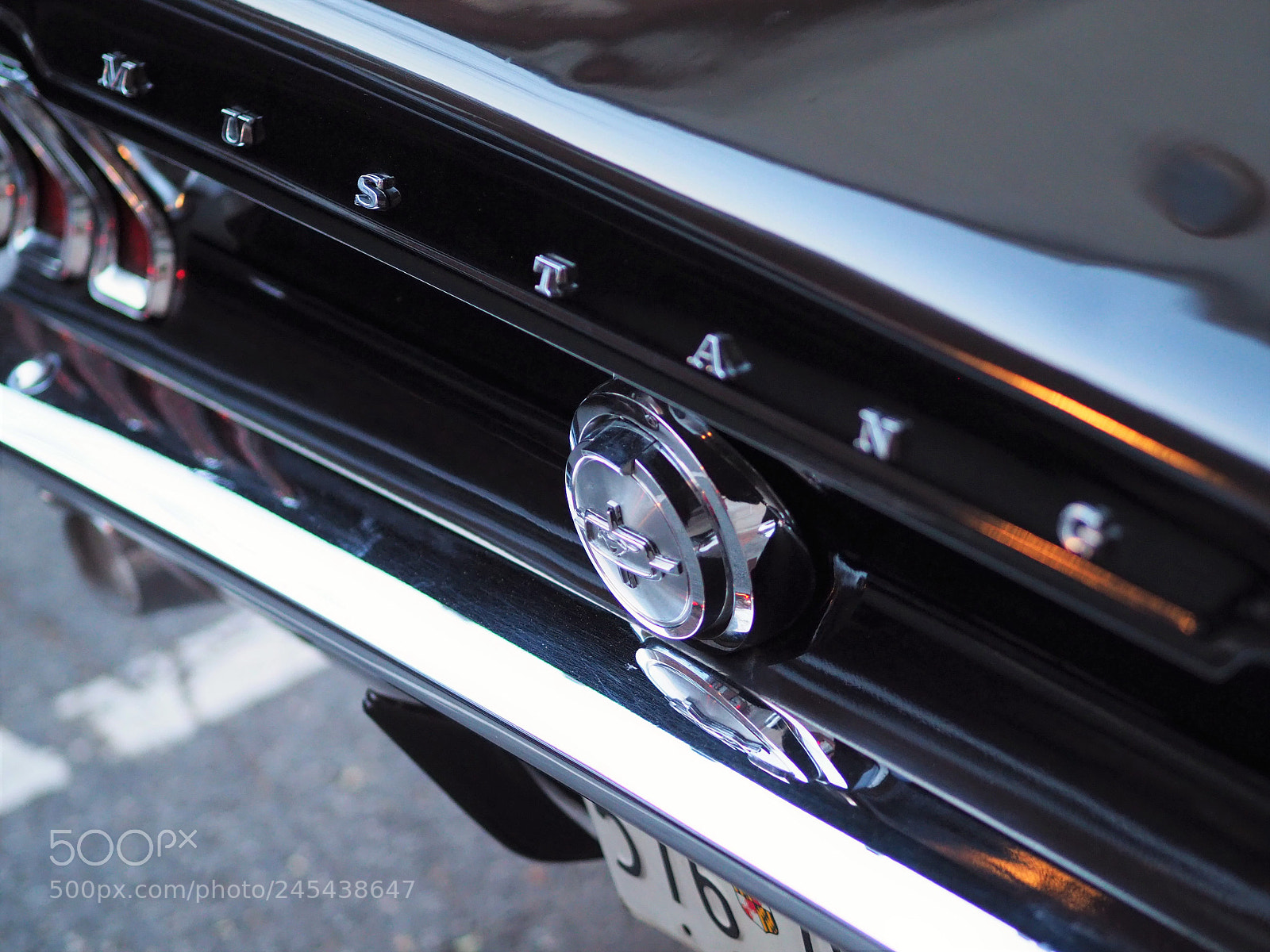 Olympus OM-D E-M10 III sample photo. Mustang in alexandria photography