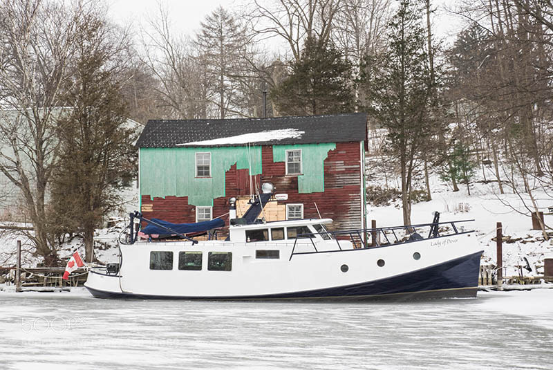 Olympus OM-D E-M1 sample photo. On a cold snowy photography
