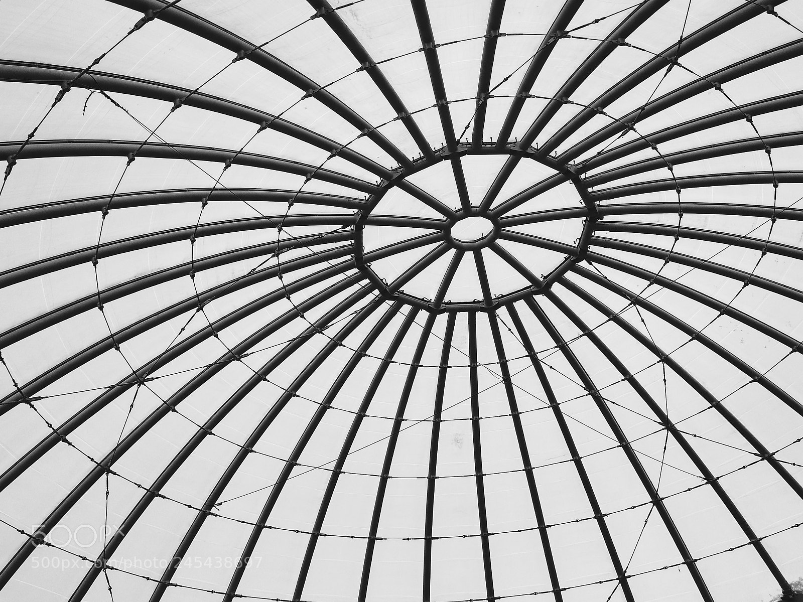 Xiaomi Mi A1 sample photo. Купол / dome photography