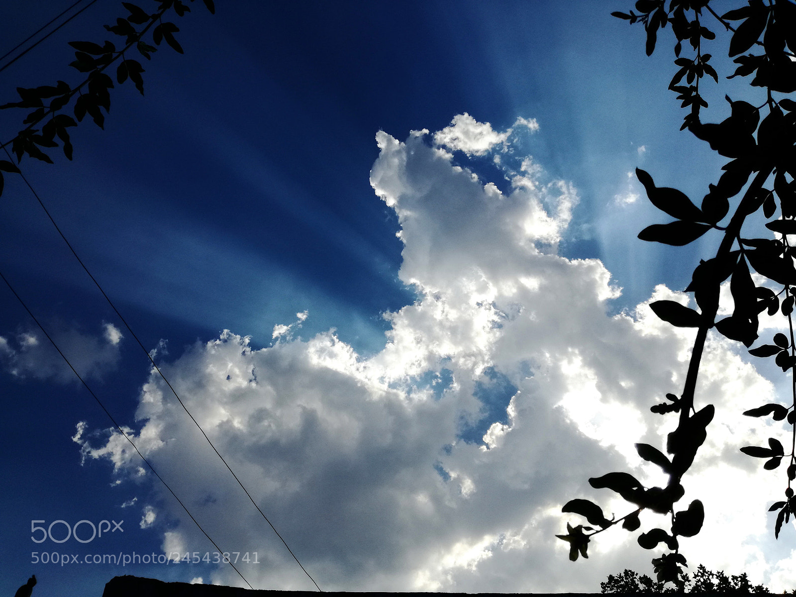 HUAWEI P9 LITE sample photo. Verano photography
