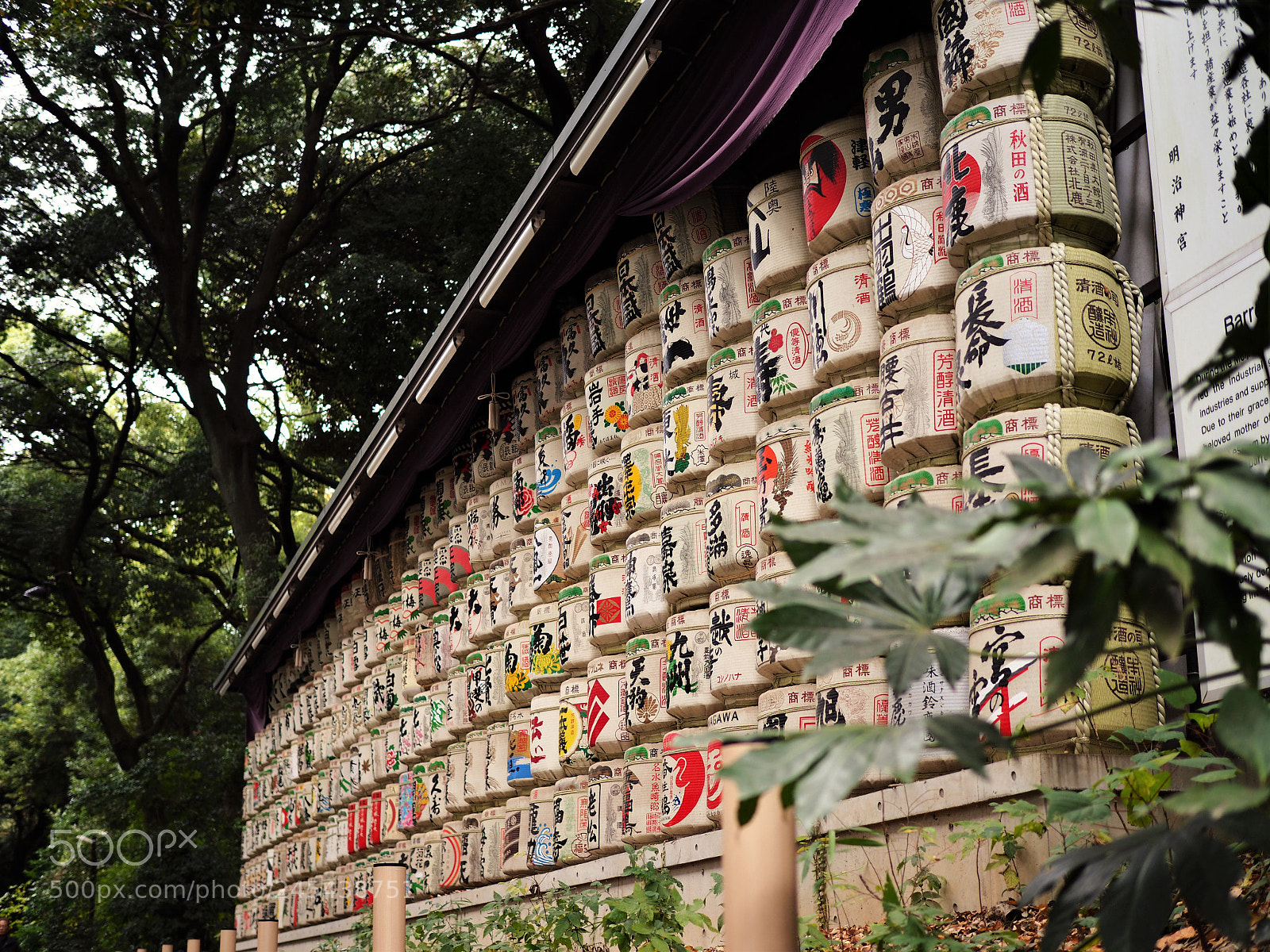 Olympus PEN-F sample photo. Tokyo garden photography