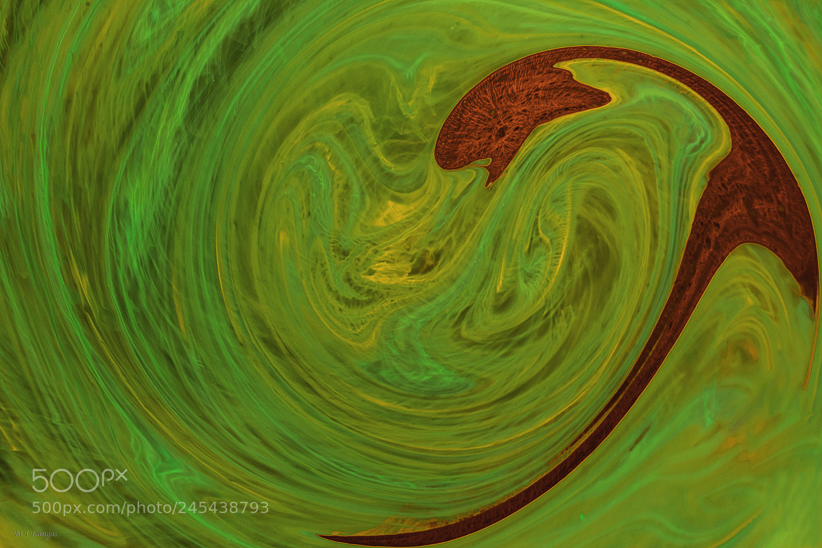 Nikon D610 sample photo. Ink on the water 5 photography