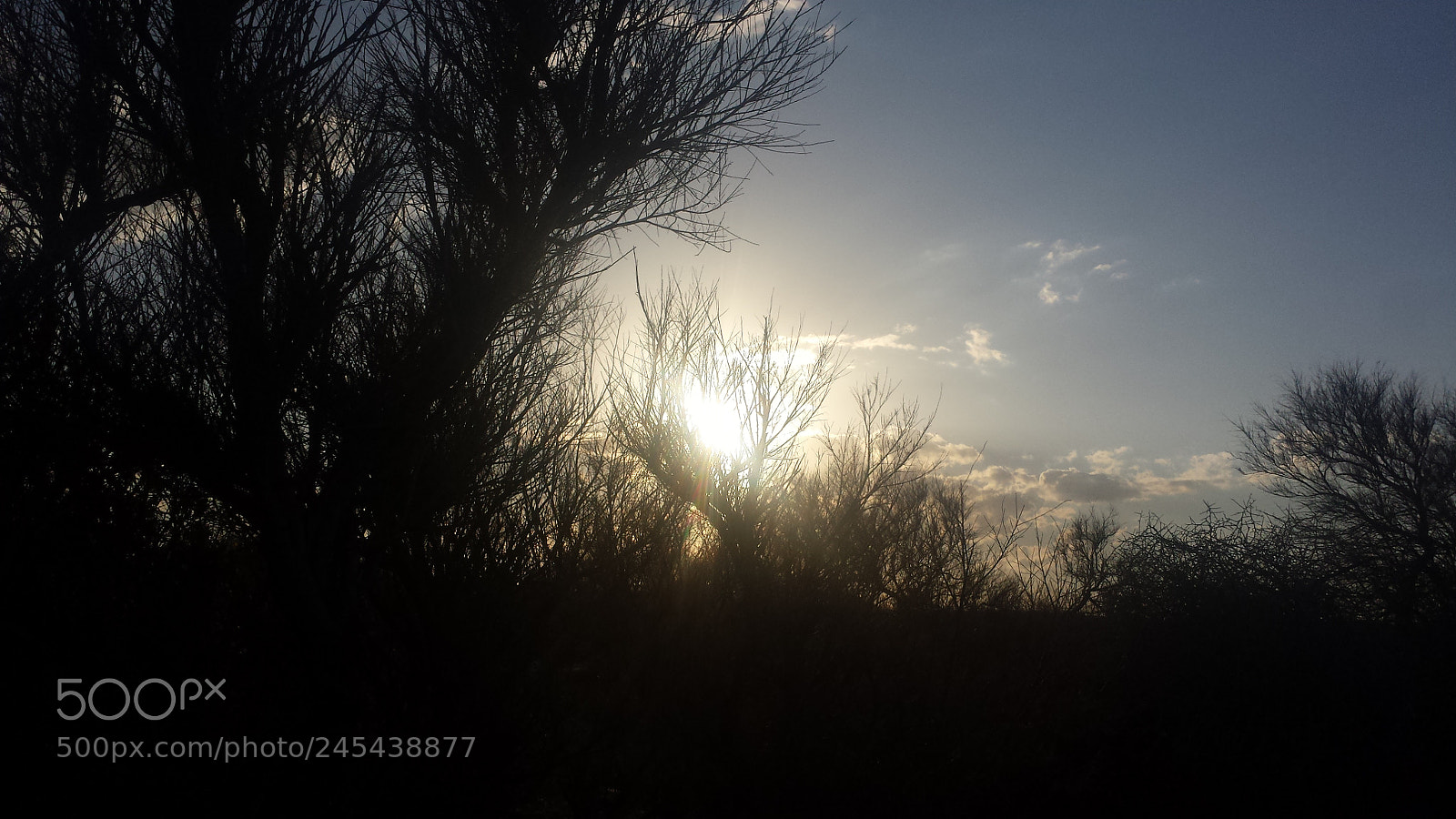 Samsung Galaxy S4 sample photo. Untitled photography