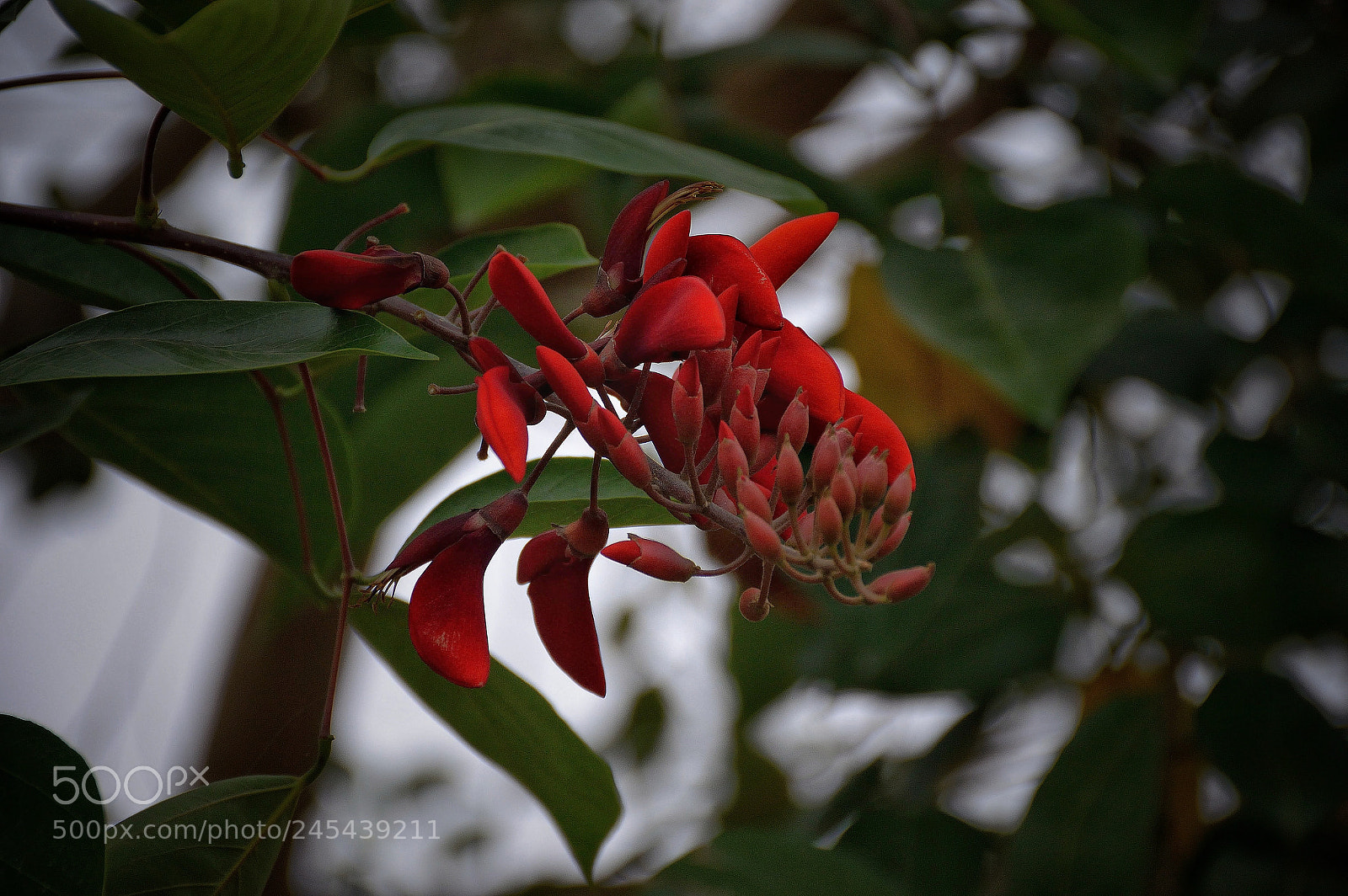 Nikon D3200 sample photo. Untitled photography