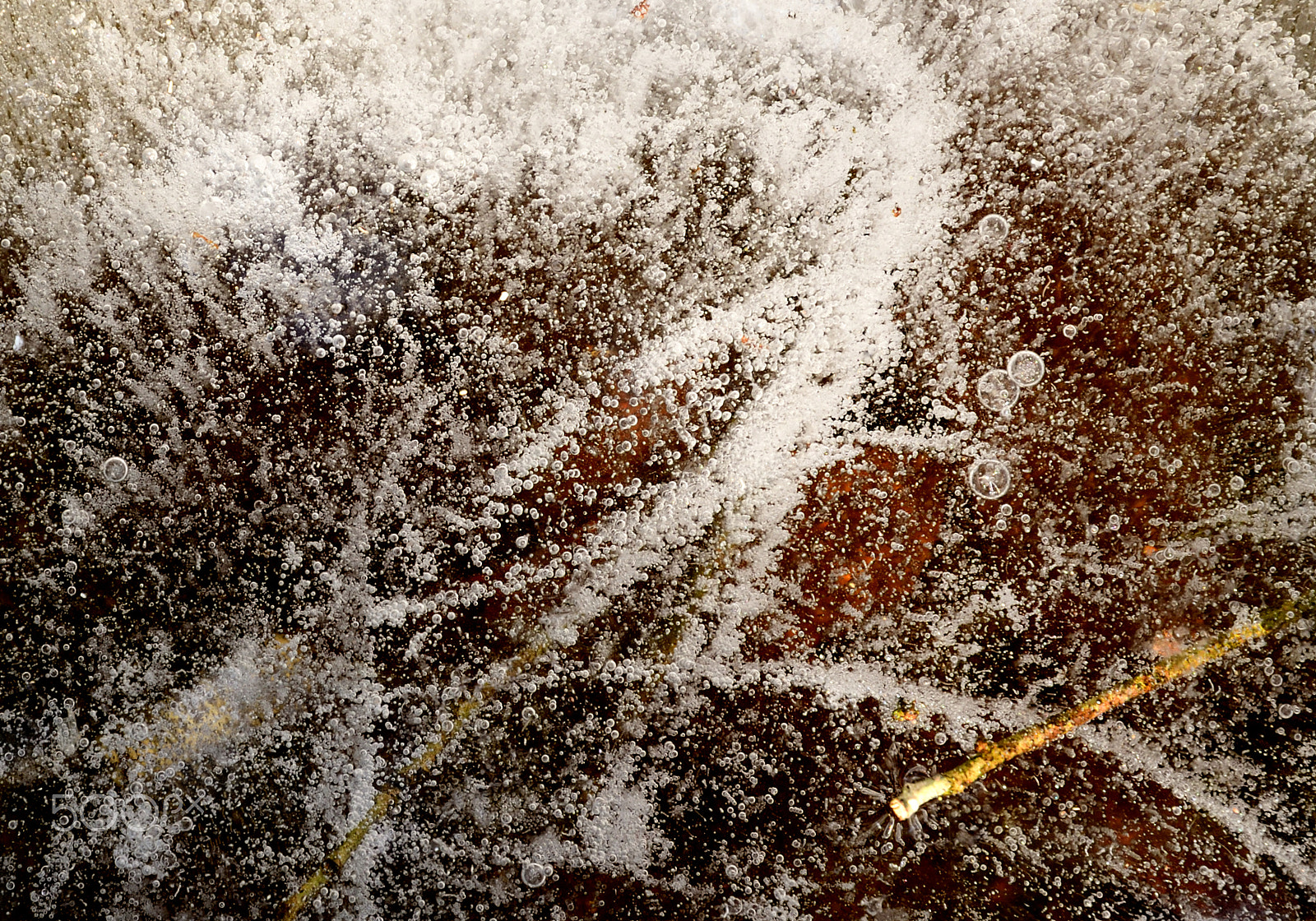 Nikon D500 sample photo. Frozen h2o photography
