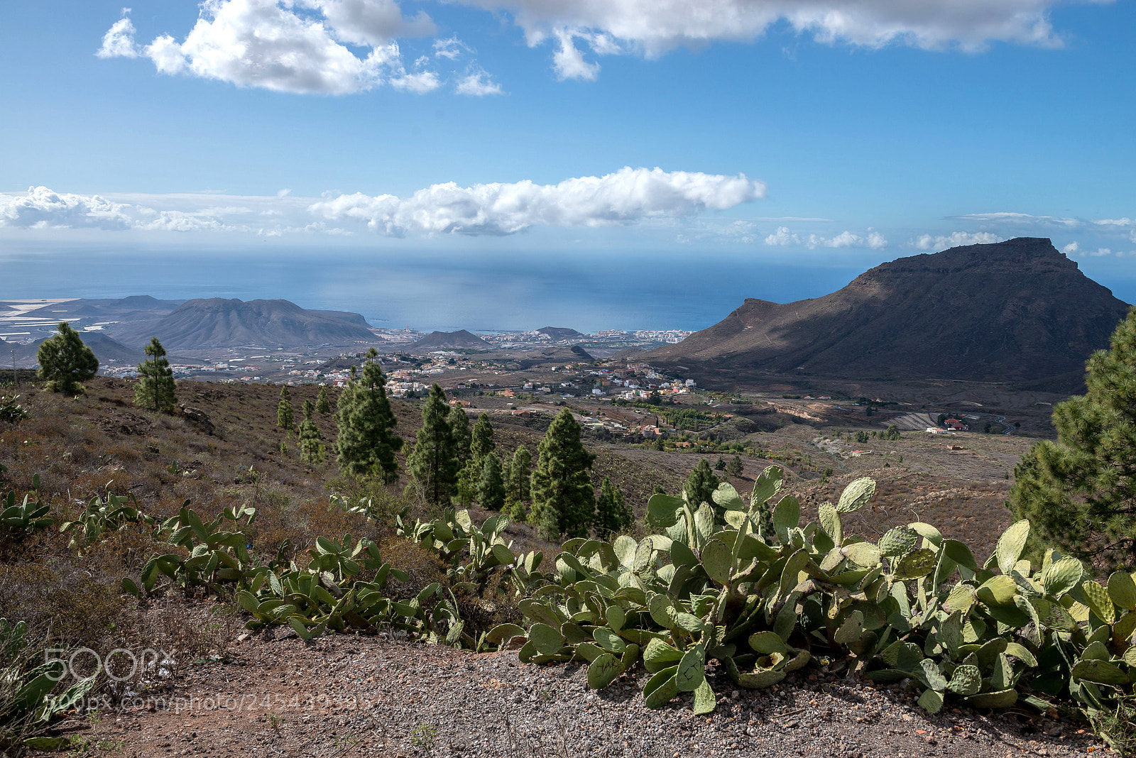 Nikon D800 sample photo. Tenerife, spain photography