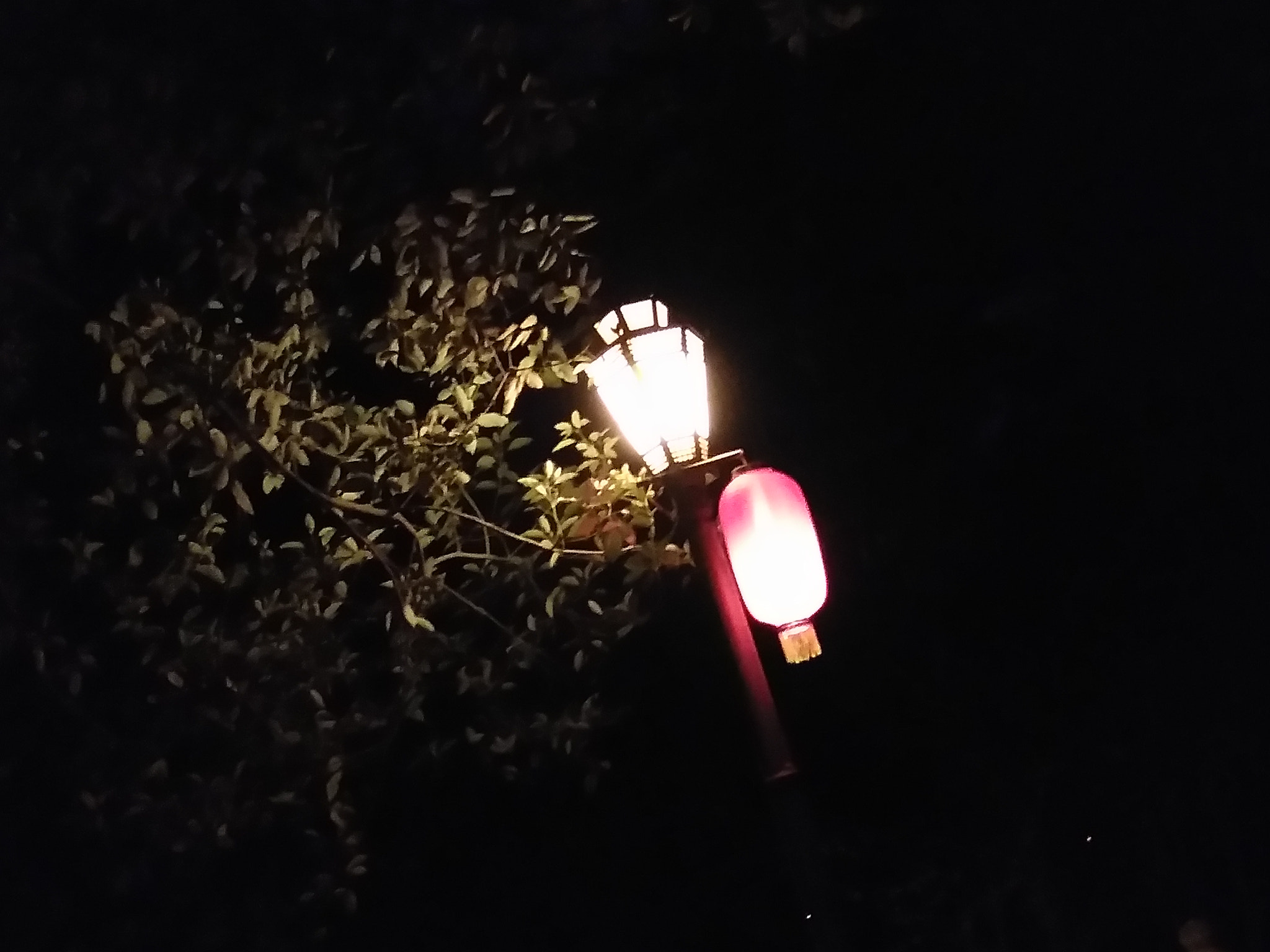 vivo Y55A sample photo. Lantern. photography