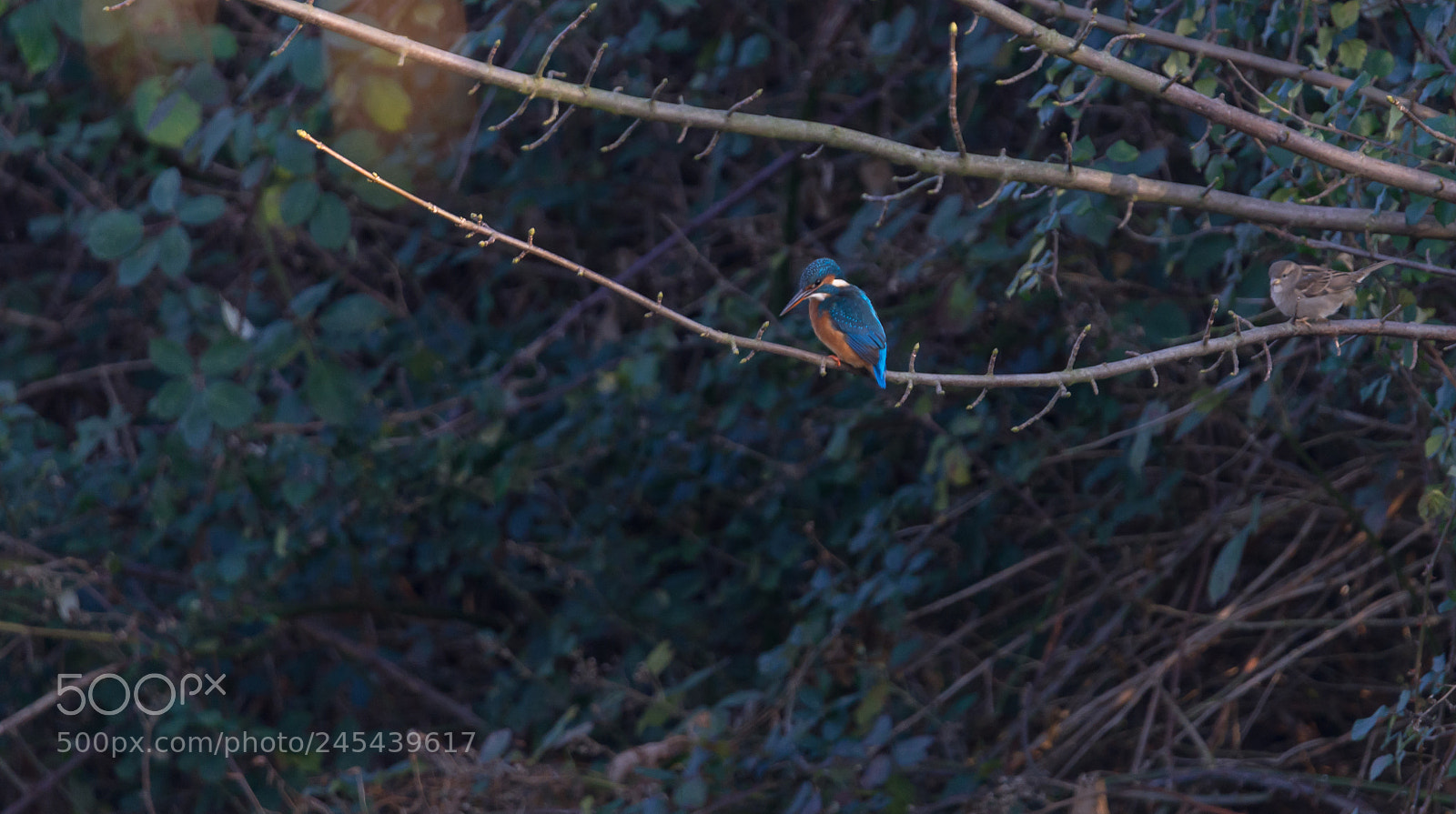 Nikon D800E sample photo. I wish i was photography