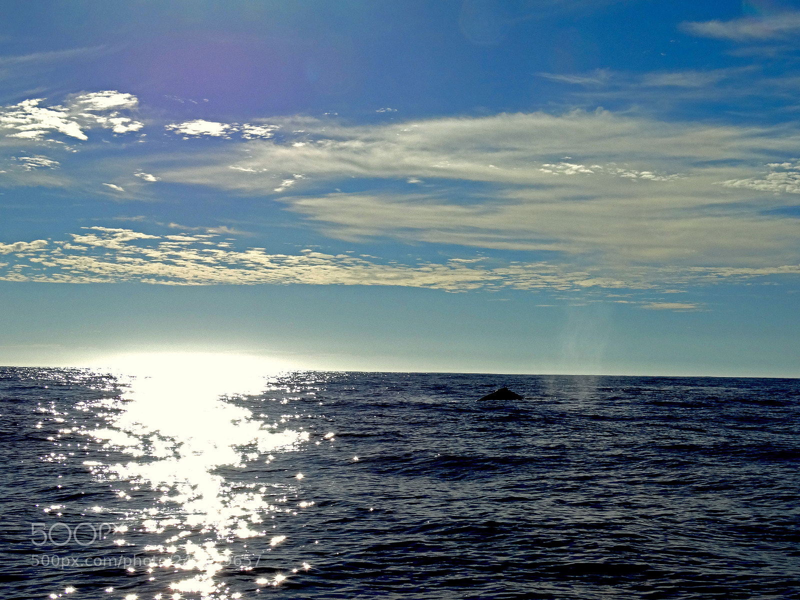 Sony Cyber-shot DSC-HX300 sample photo. The ligh of sun photography