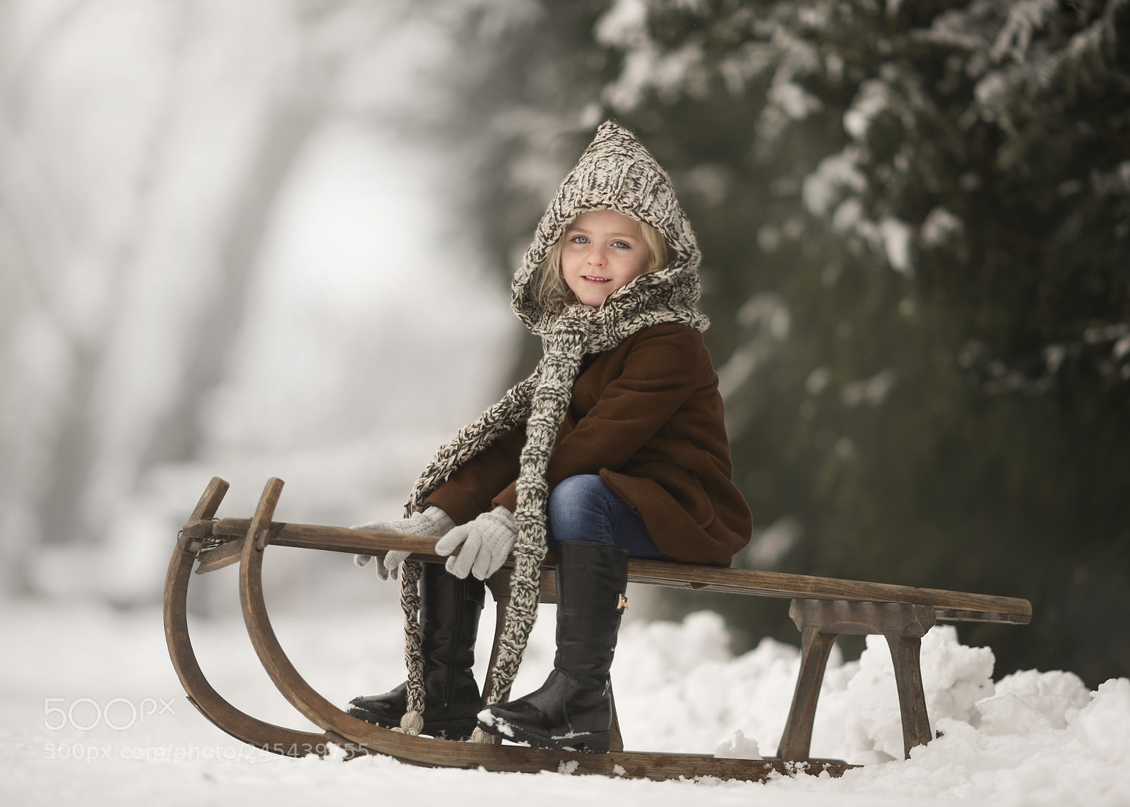 Nikon D810 sample photo. Off sledging photography