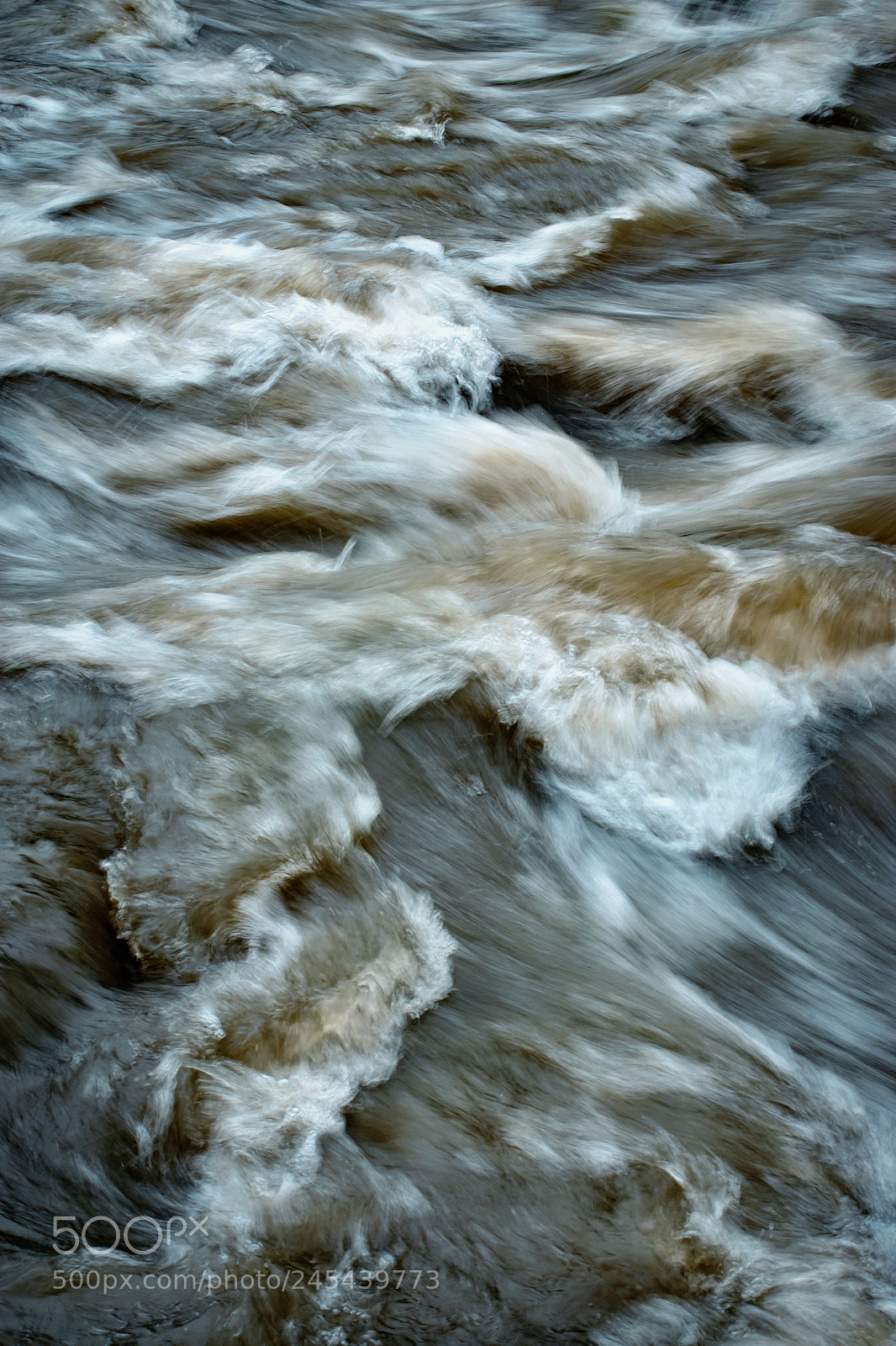 Nikon D5500 sample photo. Detail of blurred dirty photography
