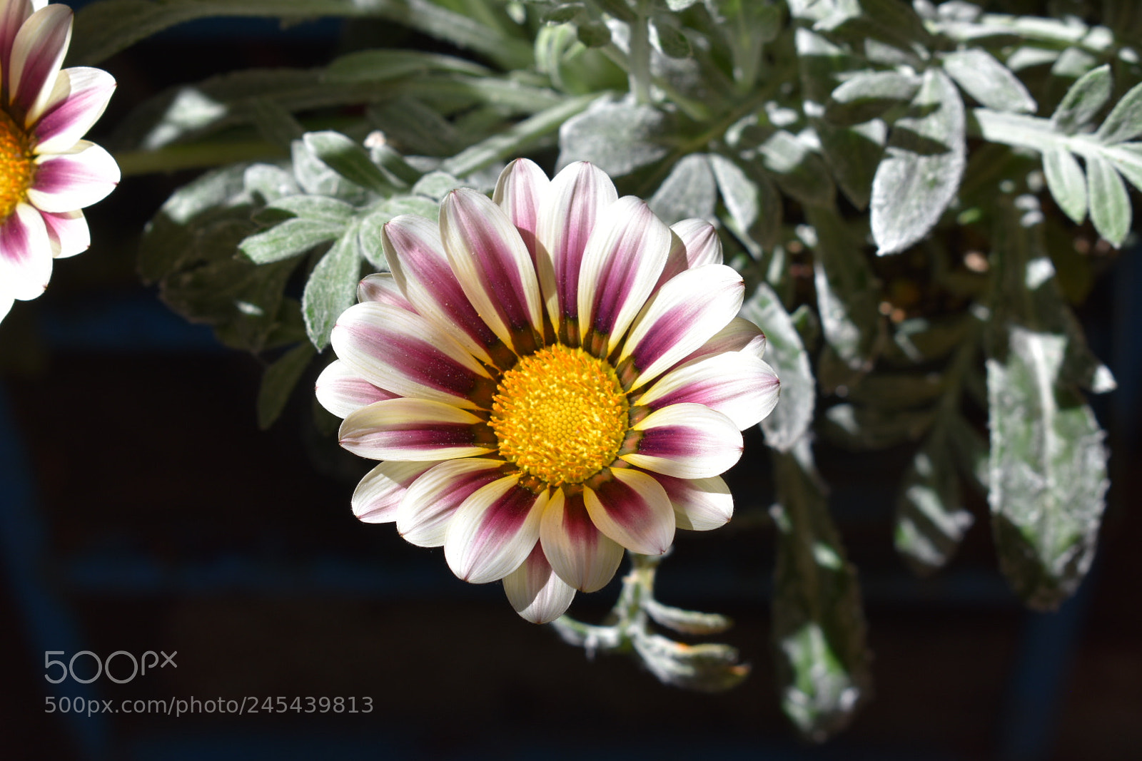 Nikon D3400 sample photo. Luz photography