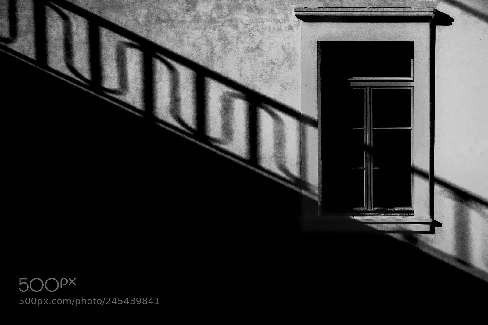 Pentax K-3 sample photo. Morning shadow photography