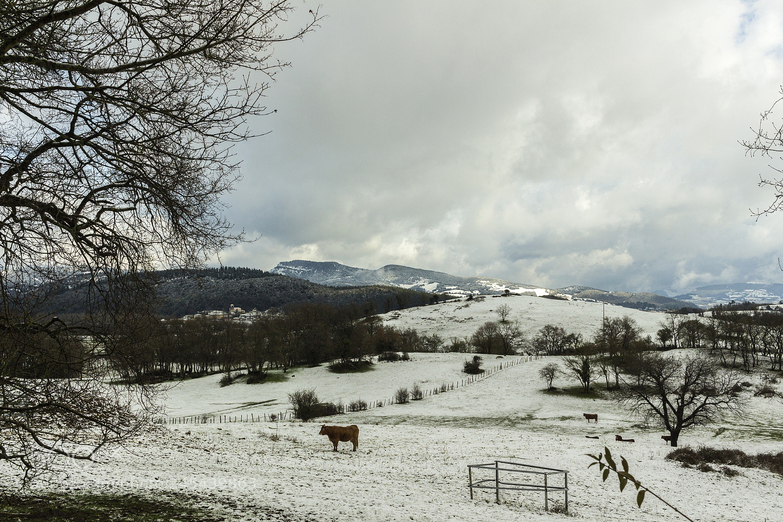 Canon EOS 100D (EOS Rebel SL1 / EOS Kiss X7) sample photo. Estampas de invierno photography