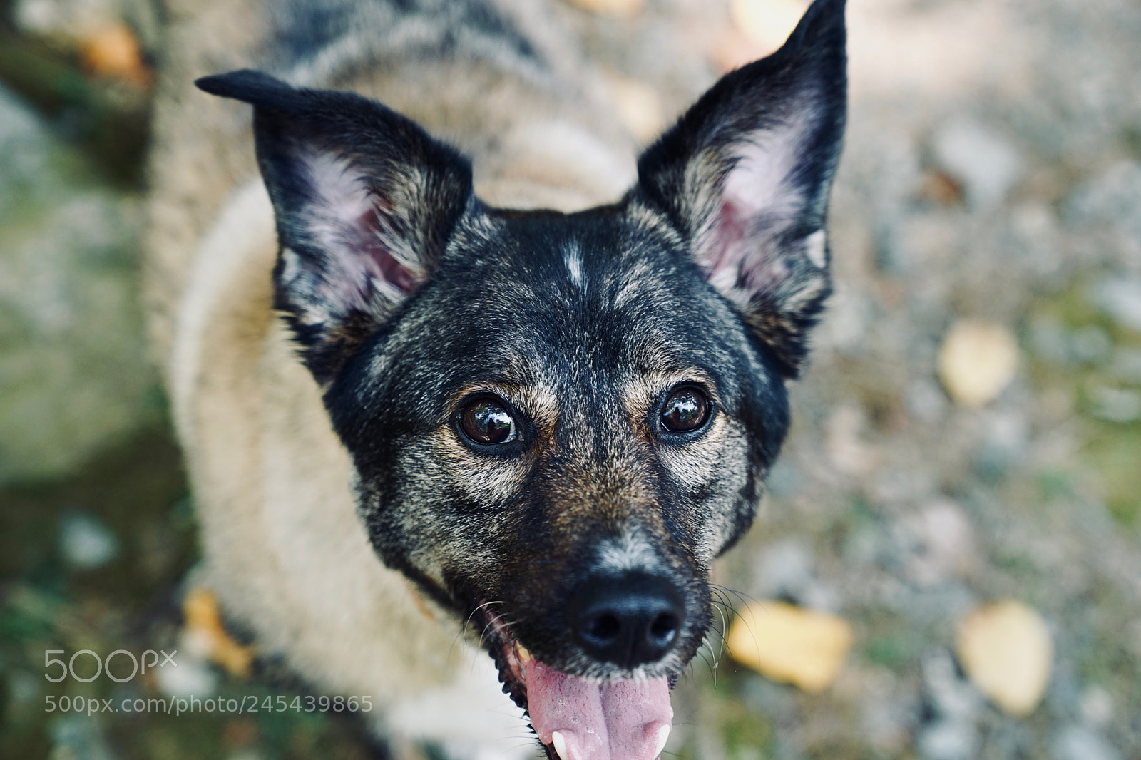 Sony a7 sample photo. Luke photography