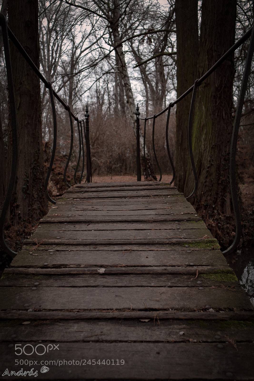 Canon EOS M5 sample photo. Silence photography