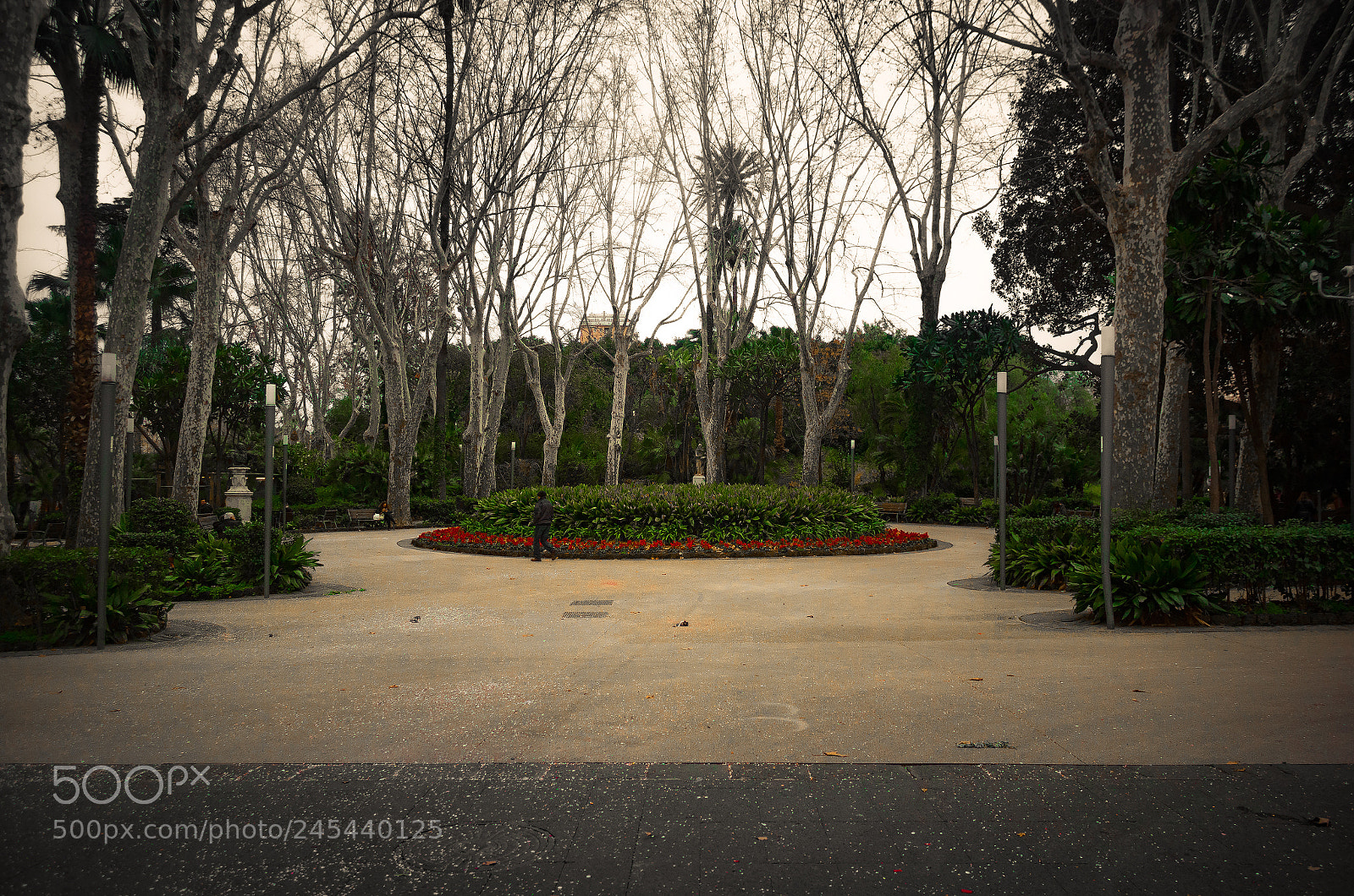 Canon EOS 1300D (EOS Rebel T6 / EOS Kiss X80) sample photo. Ingresso villa bellini photography