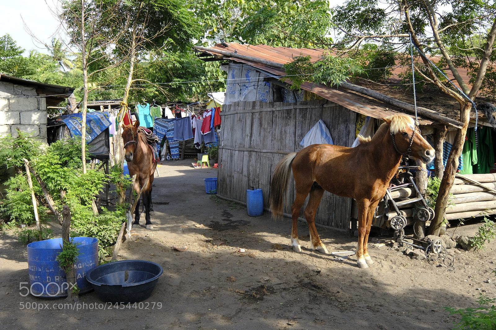 Fujifilm X-Pro2 sample photo. Untitled photography