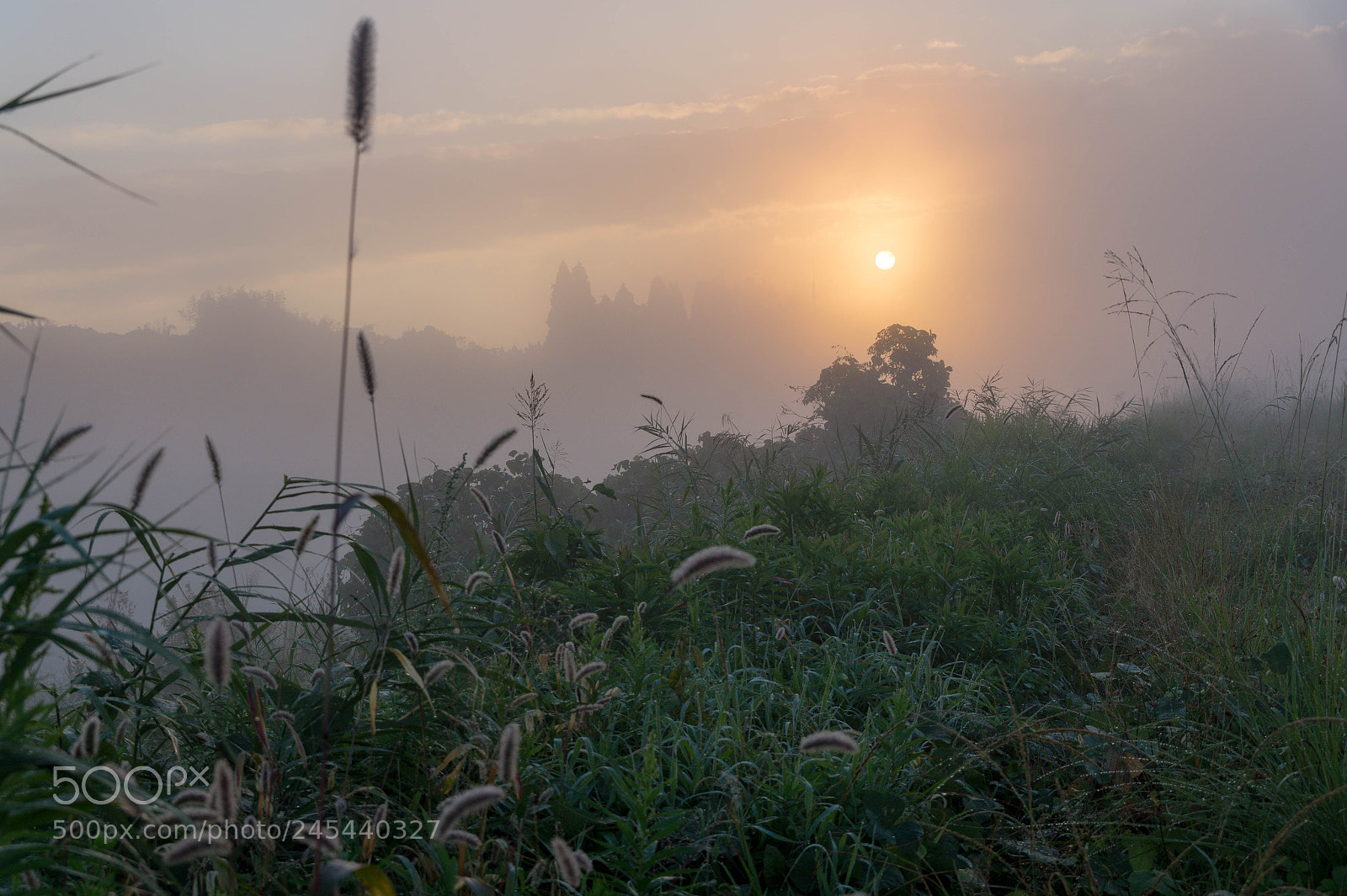 Sony SLT-A58 sample photo. Sunrise photography
