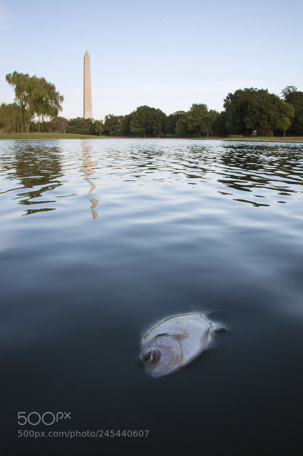 Nikon D90 sample photo. Heat wave photography