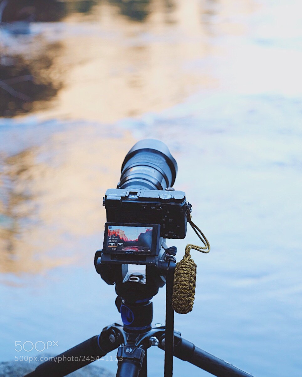 Fujifilm X-T2 sample photo. Gold boost double strap photography