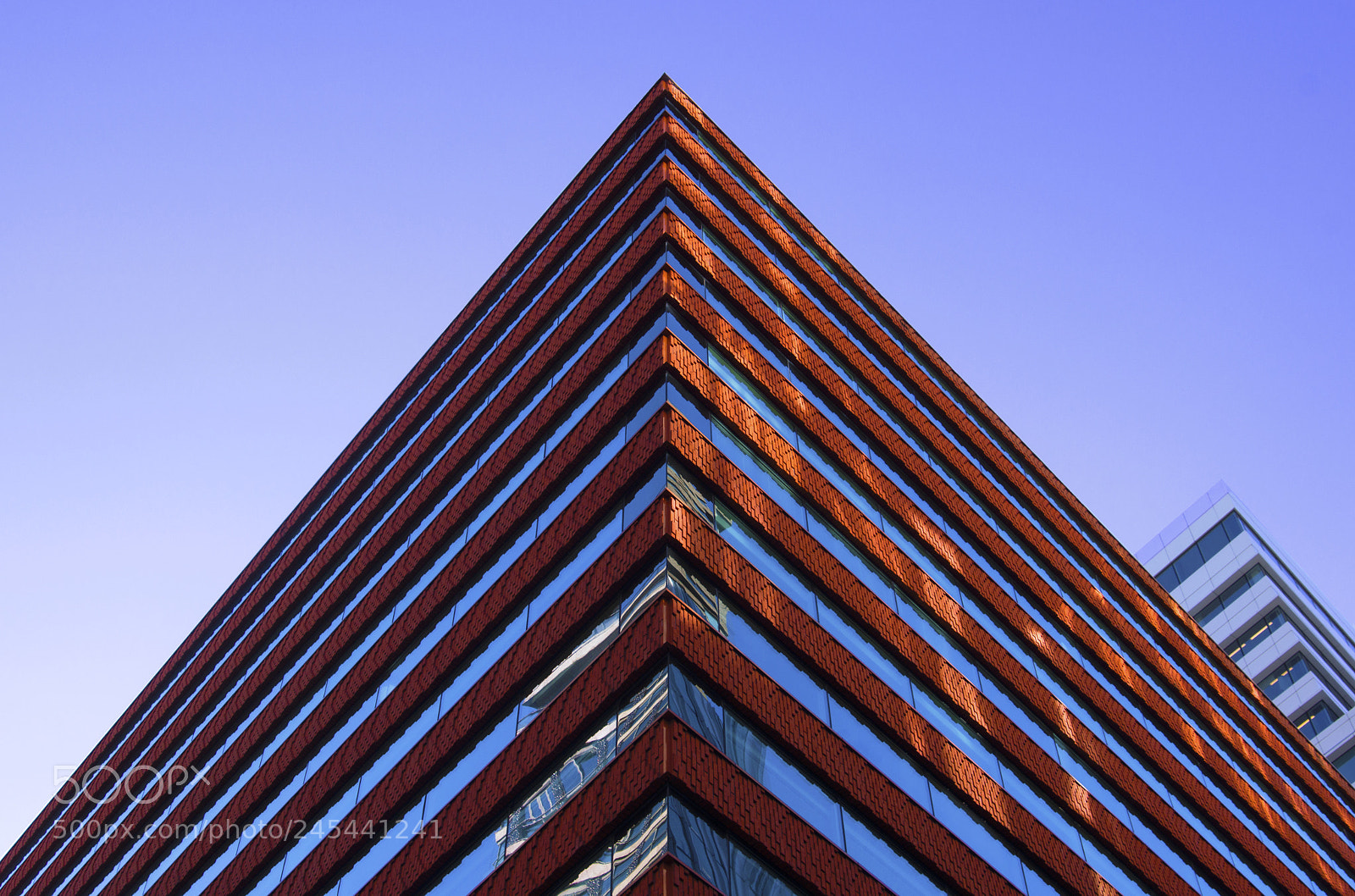 Sony SLT-A65 (SLT-A65V) sample photo. Redcheops photography